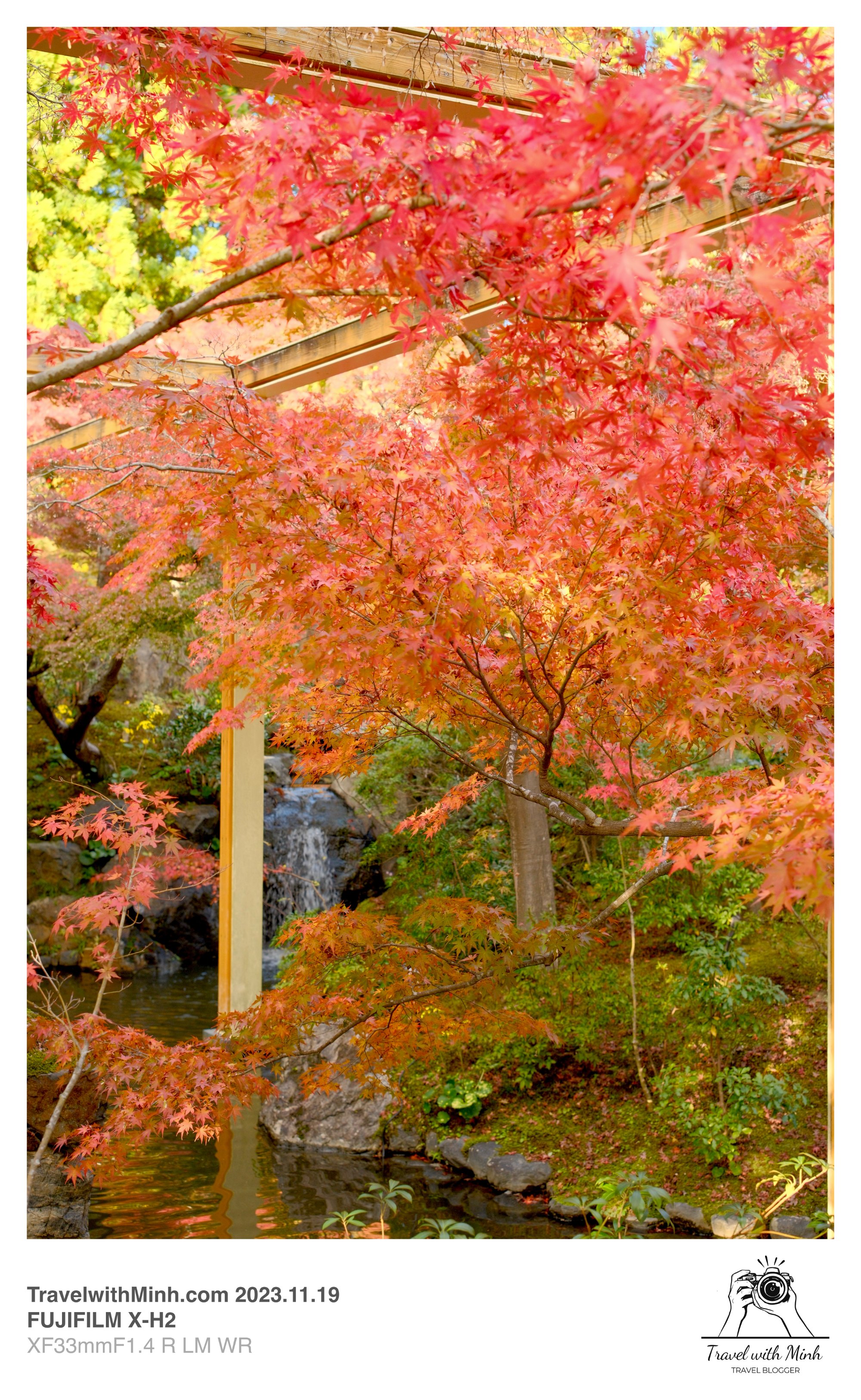 Suikeien garden kyoto2023 11 19 13 06 img 2641