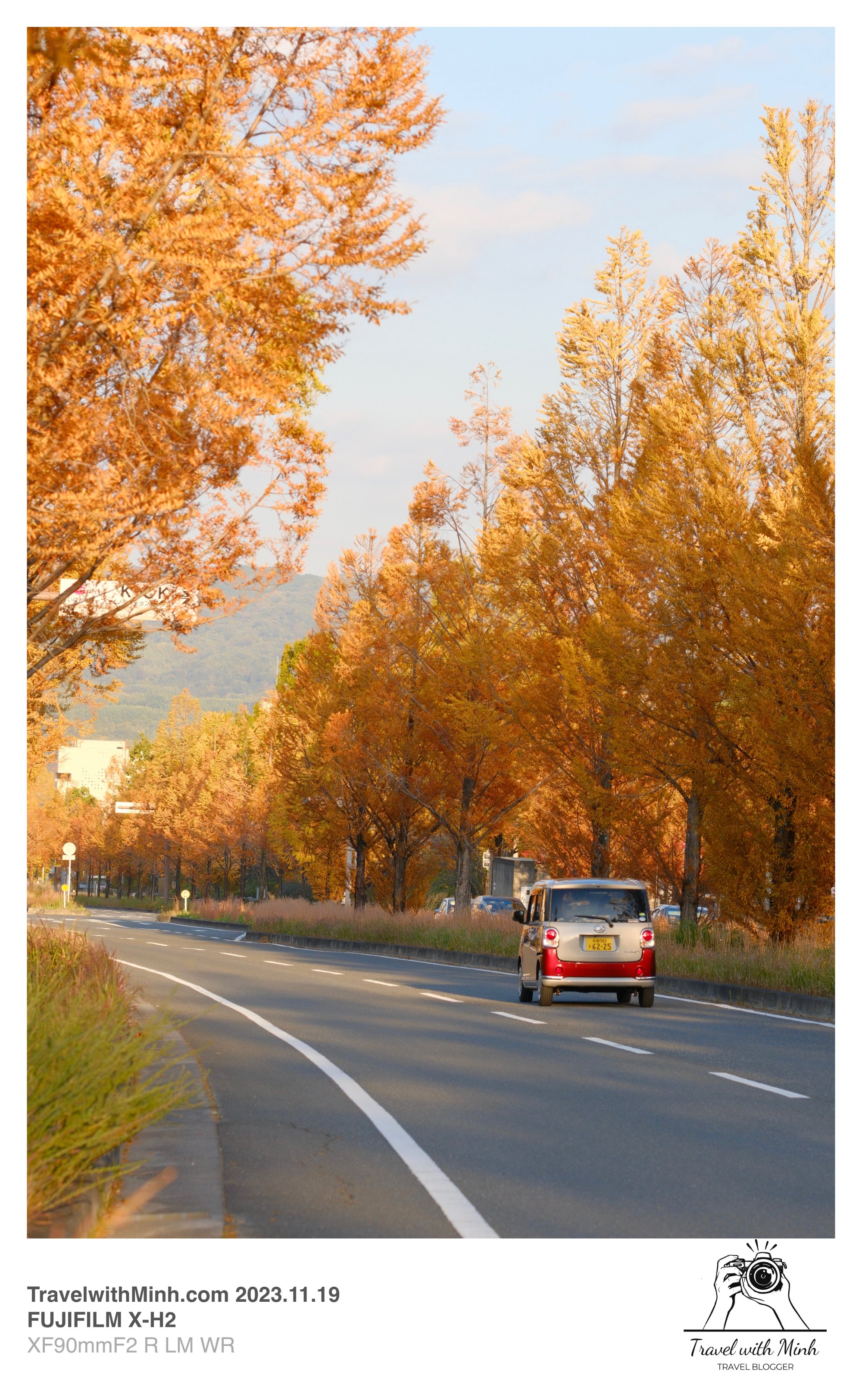 Suikeien garden kyoto2023 11 19 13 52 img 2653