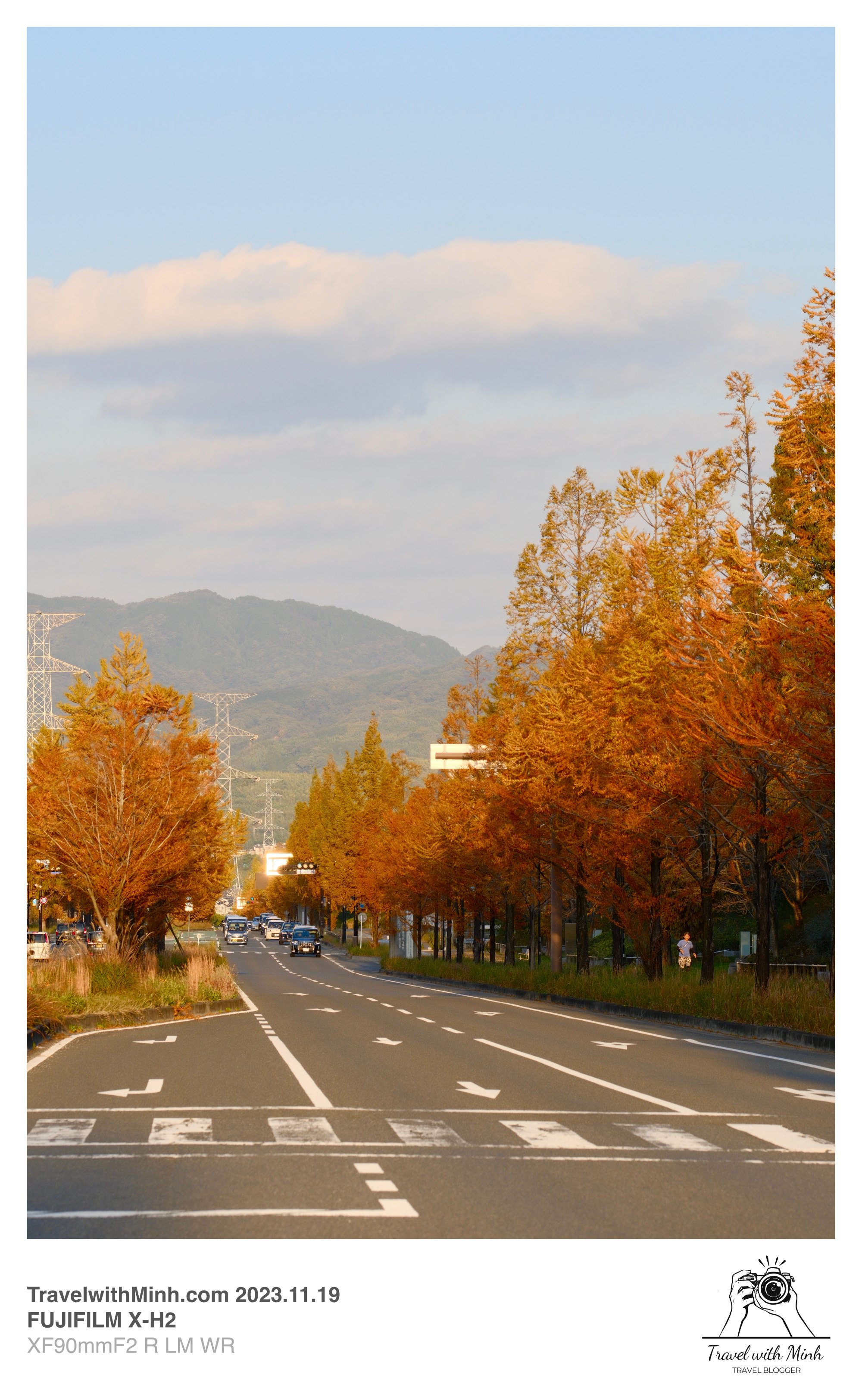 Suikeien garden kyoto2023 11 19 13 59 img 2654 1