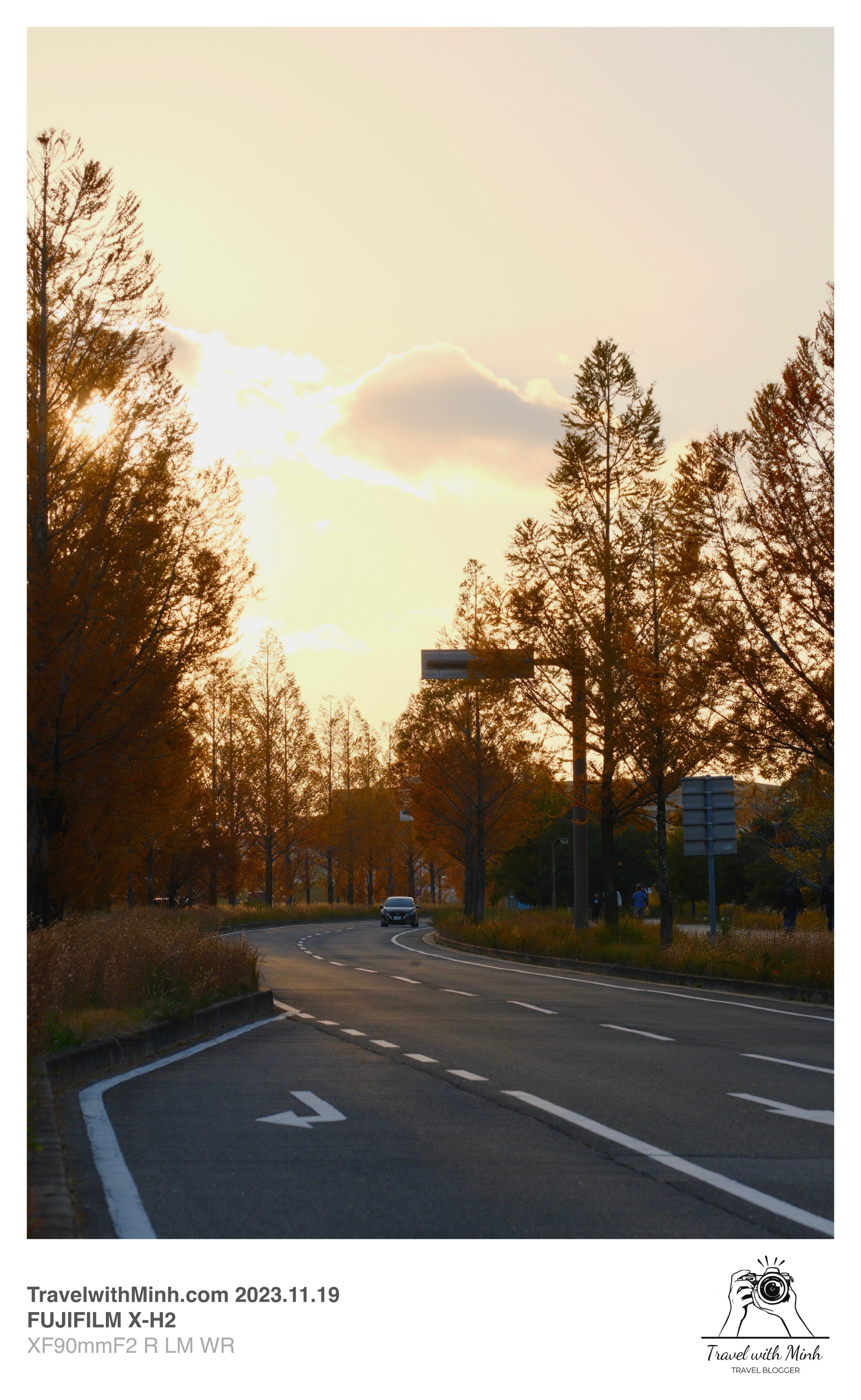 Suikeien garden kyoto2023 11 19 14 01 img 2658