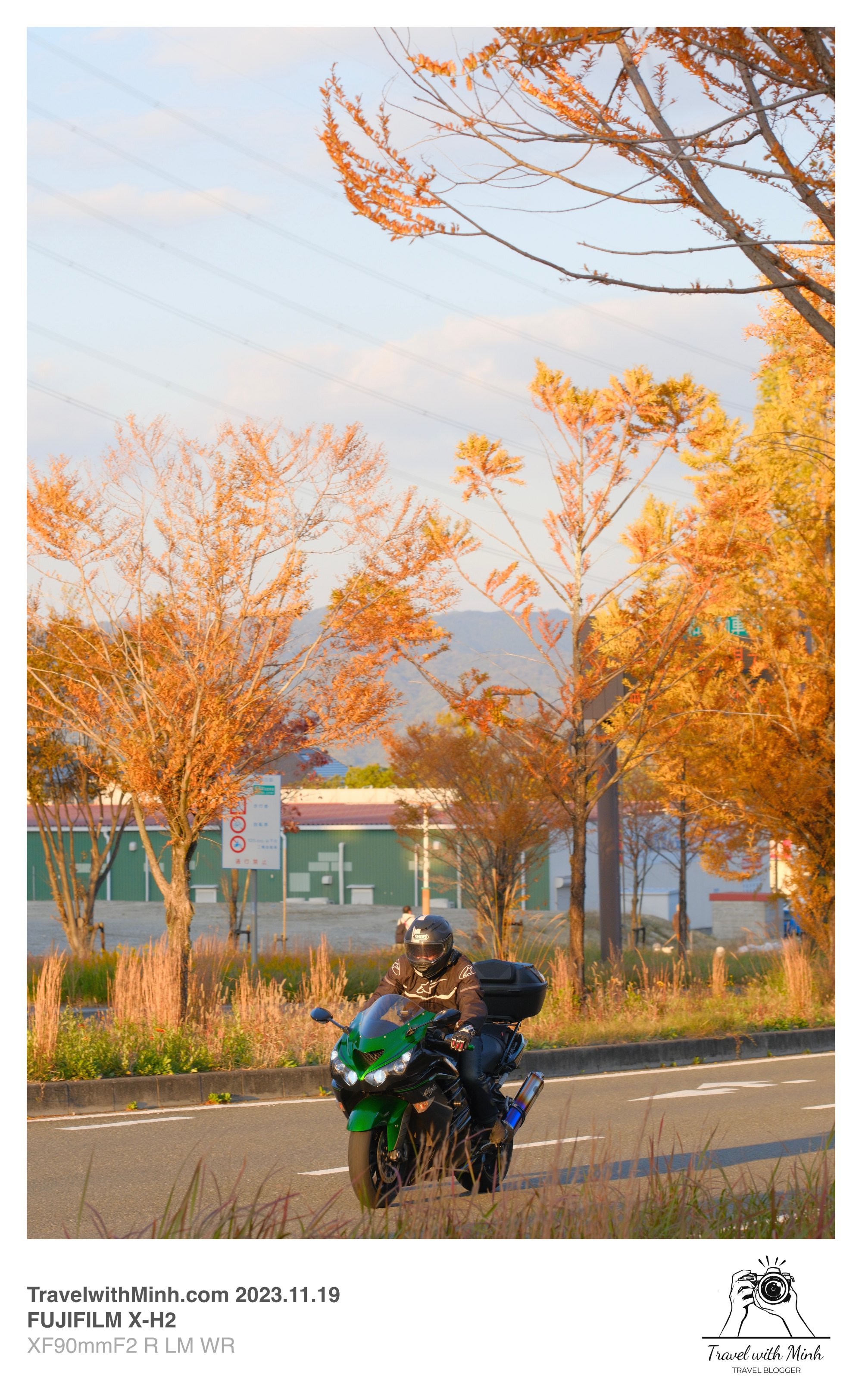 Suikeien garden kyoto2023 11 19 14 04 img 2661