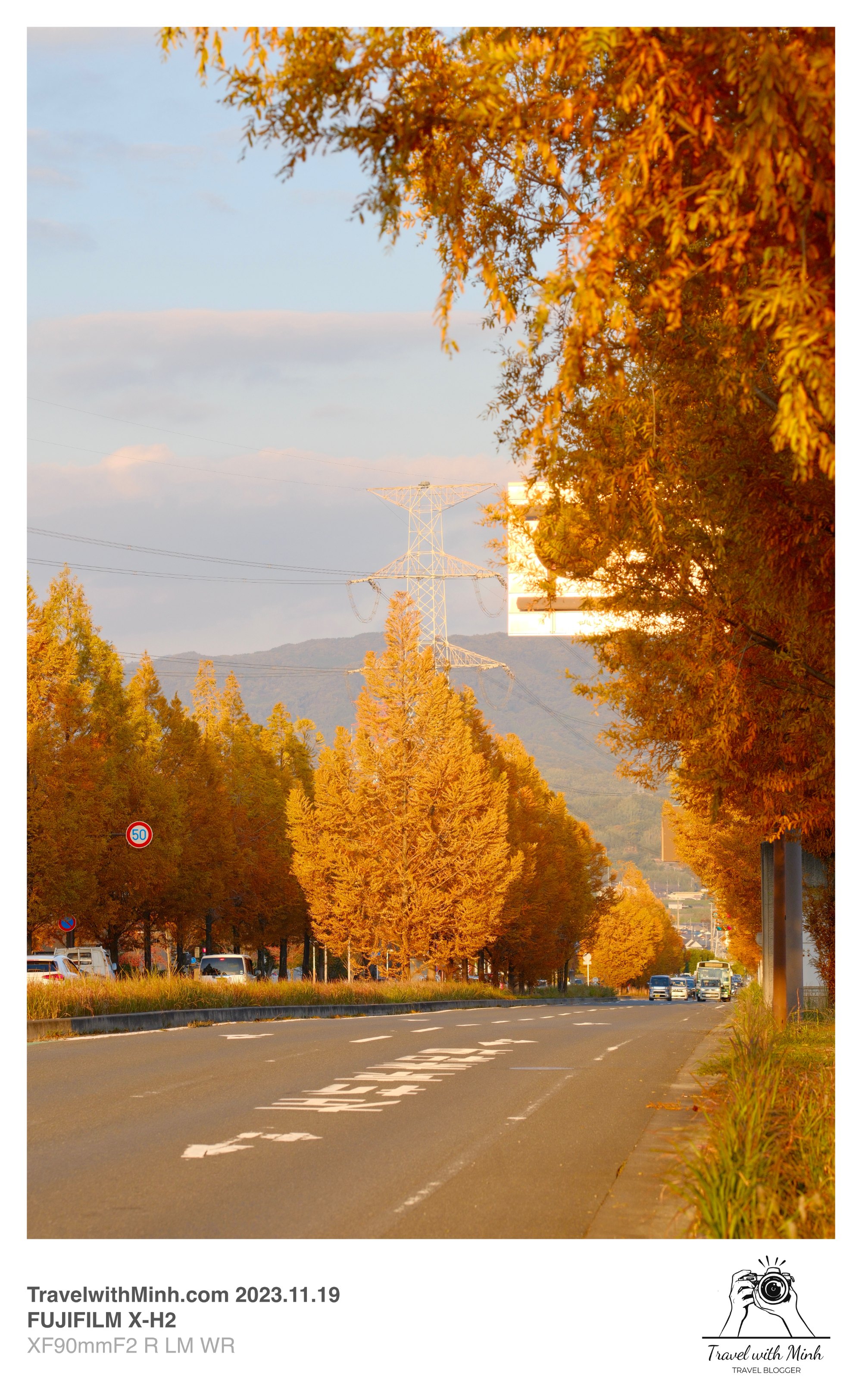 Suikeien garden kyoto2023 11 19 14 12 img 2663