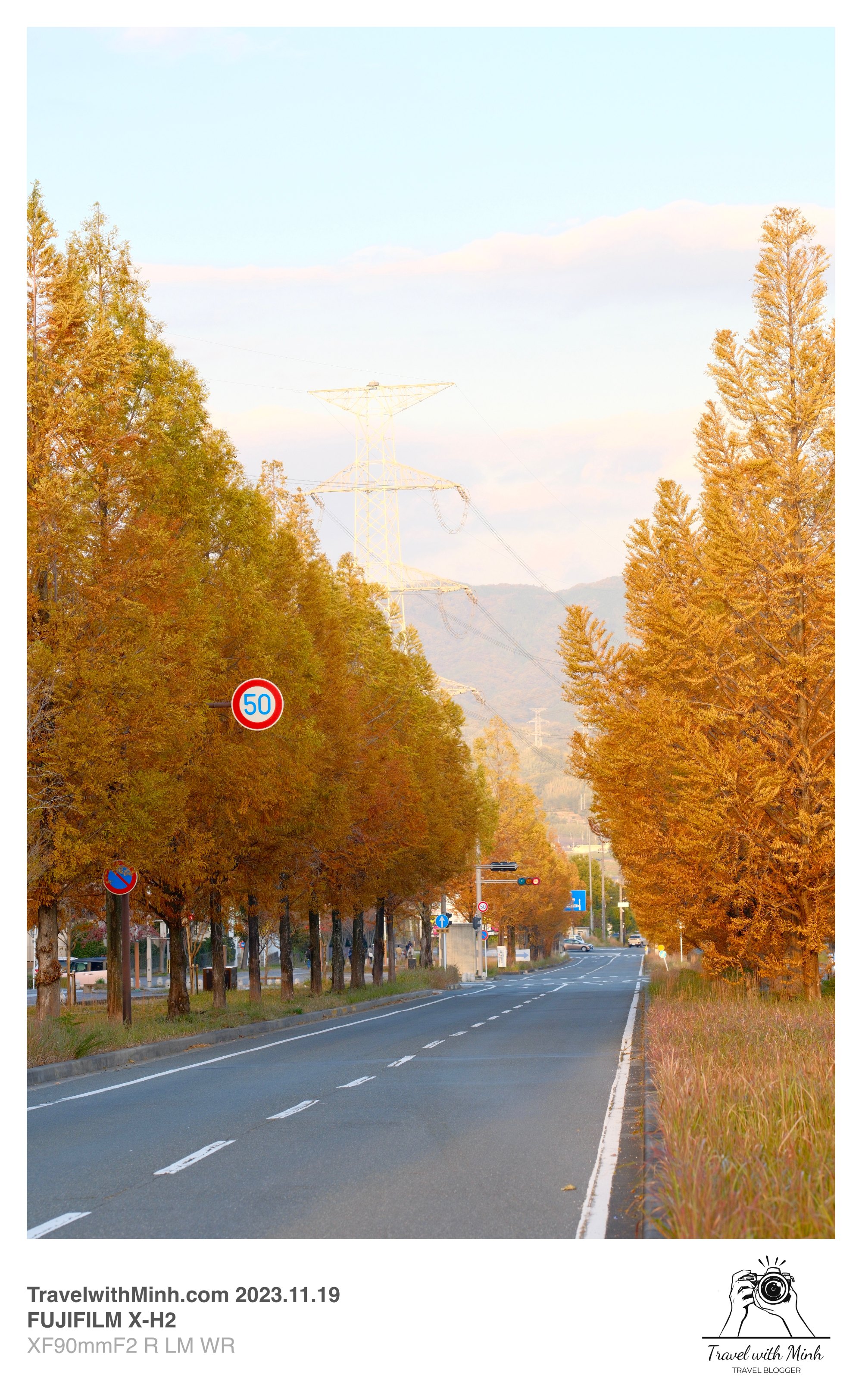 Suikeien garden kyoto2023 11 19 14 15 img 2665
