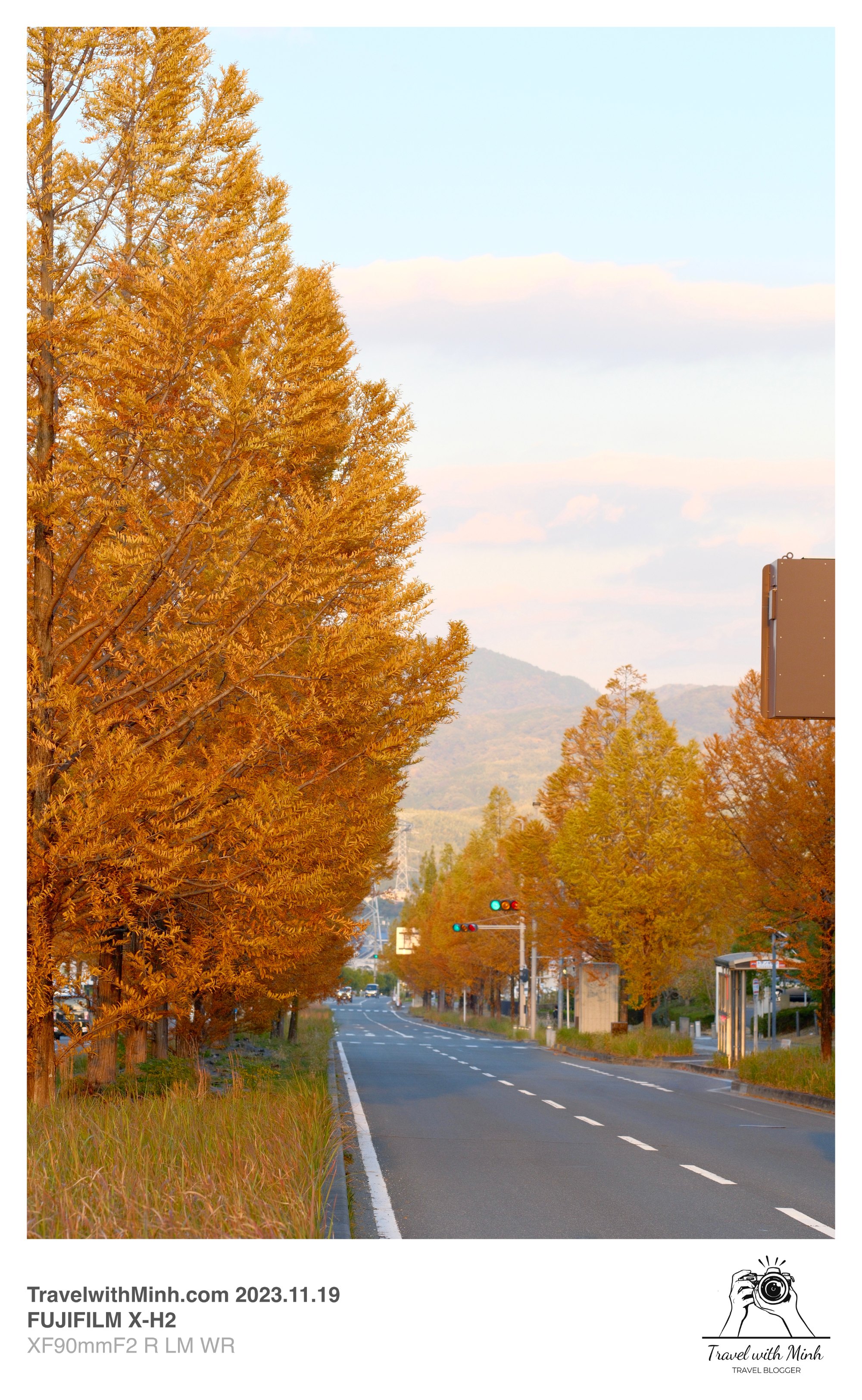 Suikeien garden kyoto2023 11 19 14 17 img 2666