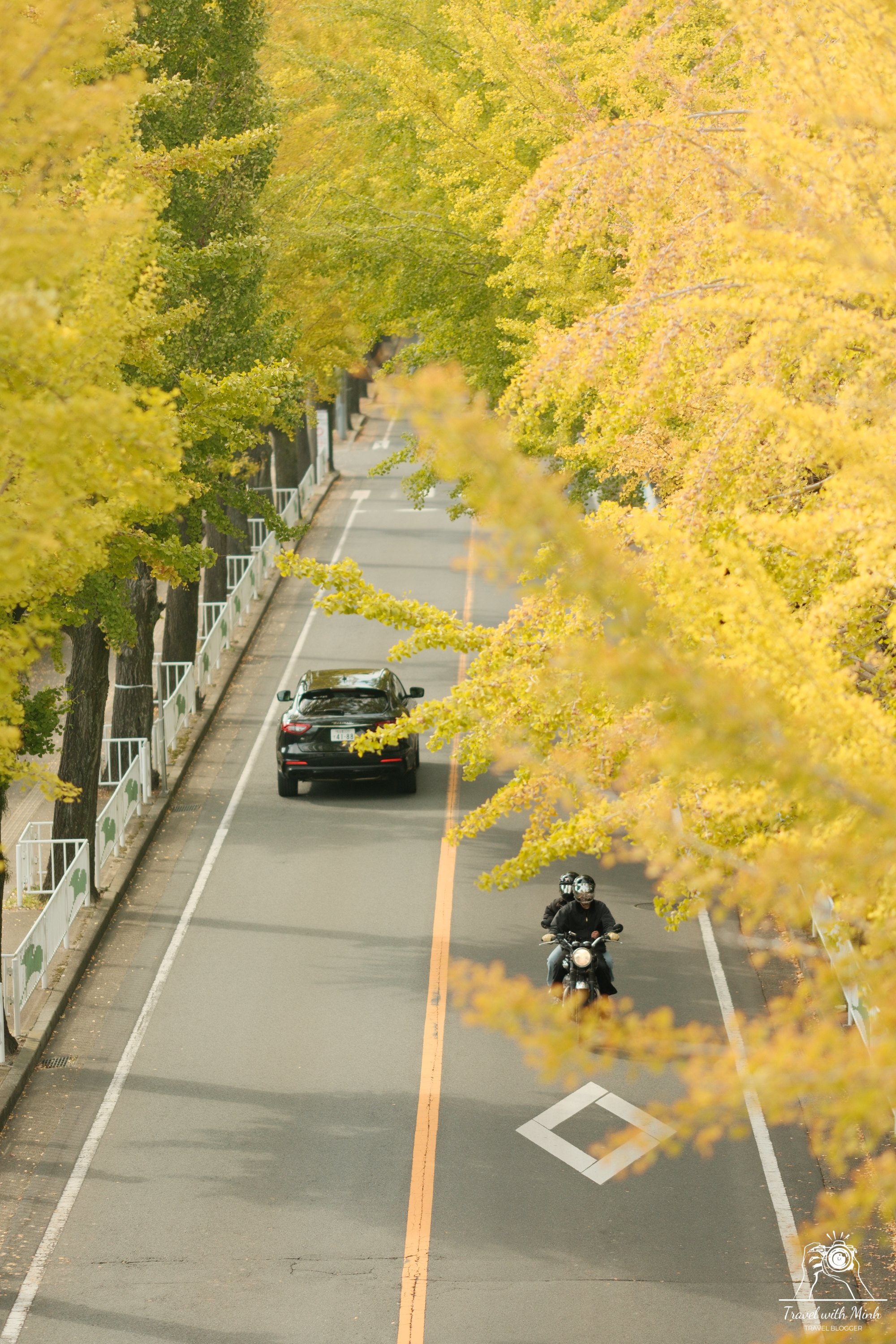 con-duong-la-vang-tai-tenri