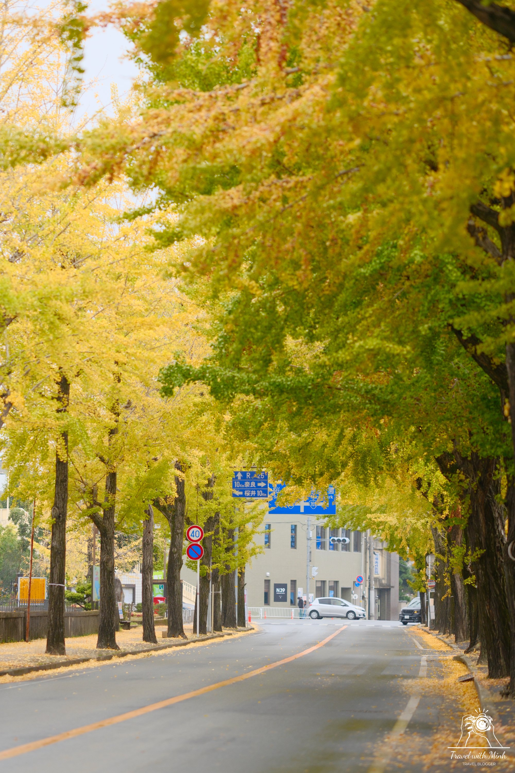 con-duong-la-vang-tai-nara