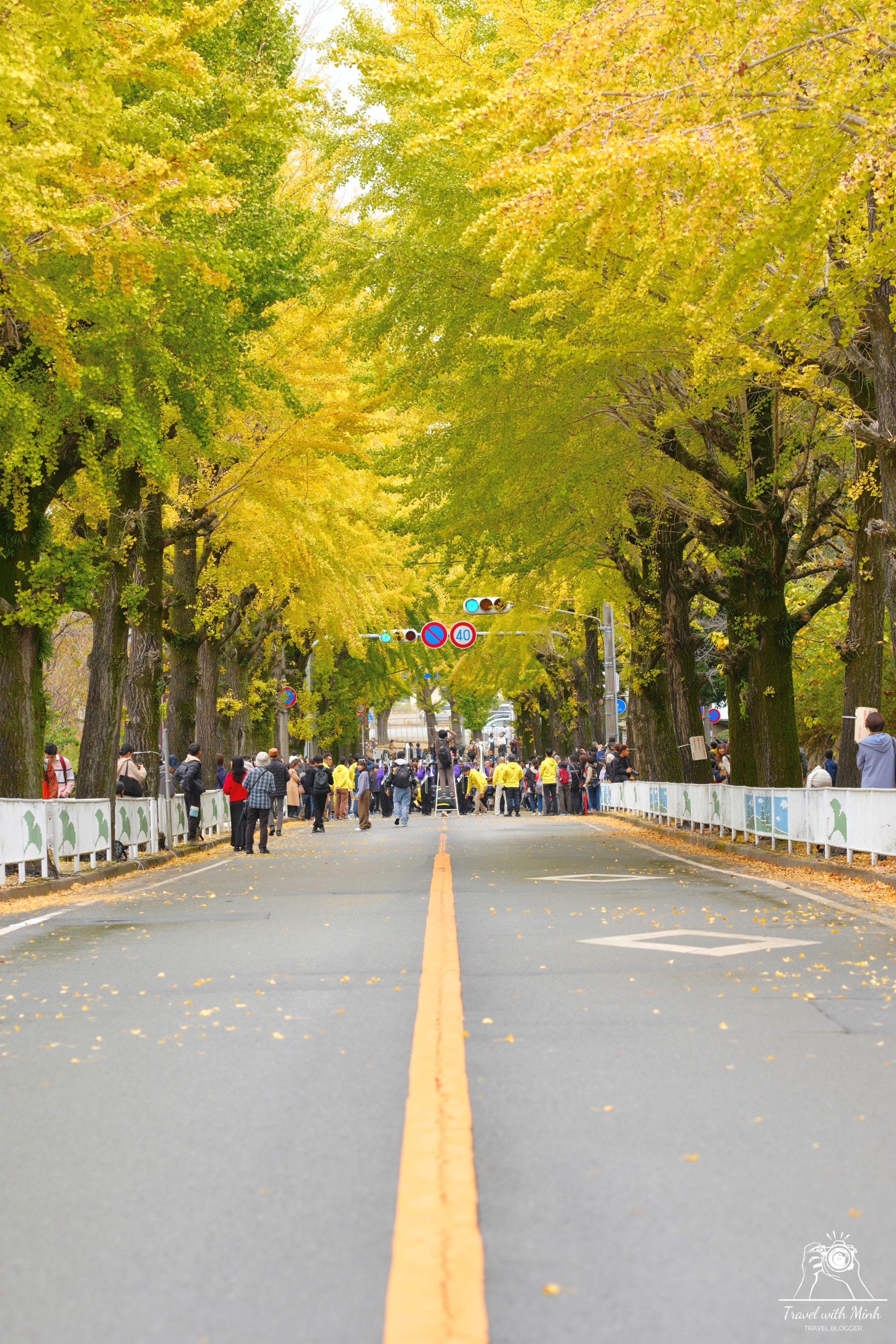 con-duong-la-vang-tai-nara