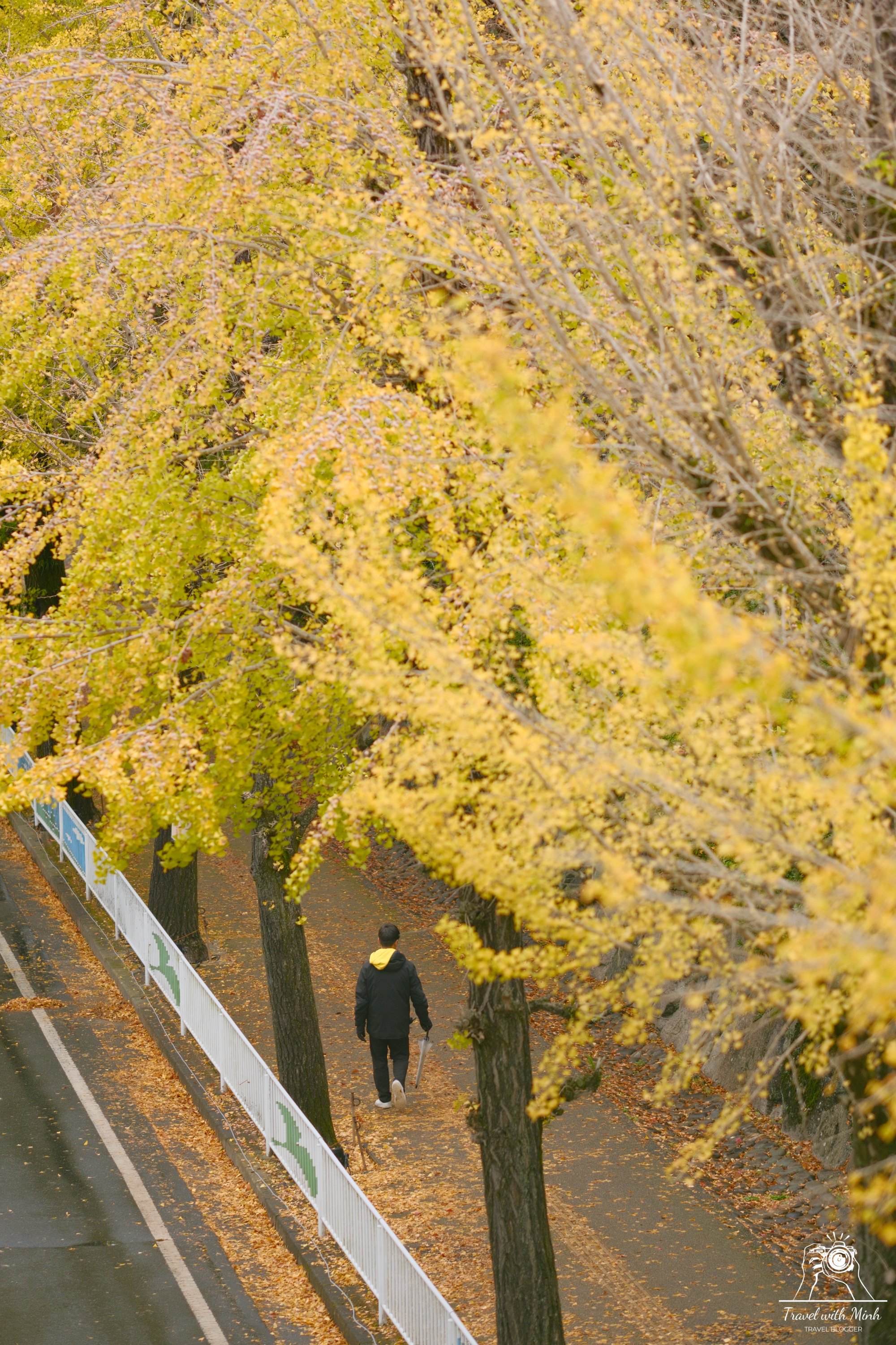 con-duong-la-vang-tai-nara