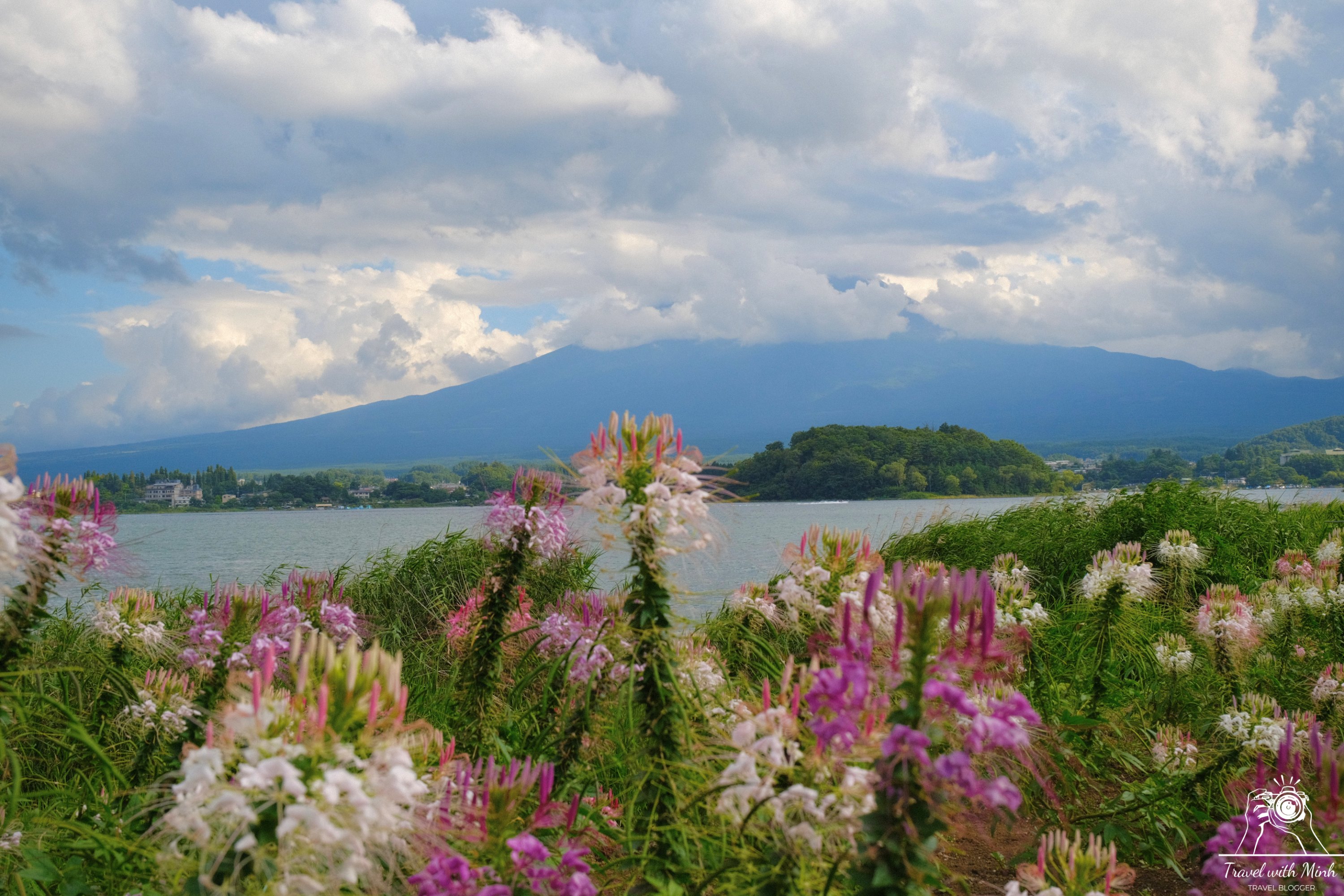 Oishi-park-yamanashi