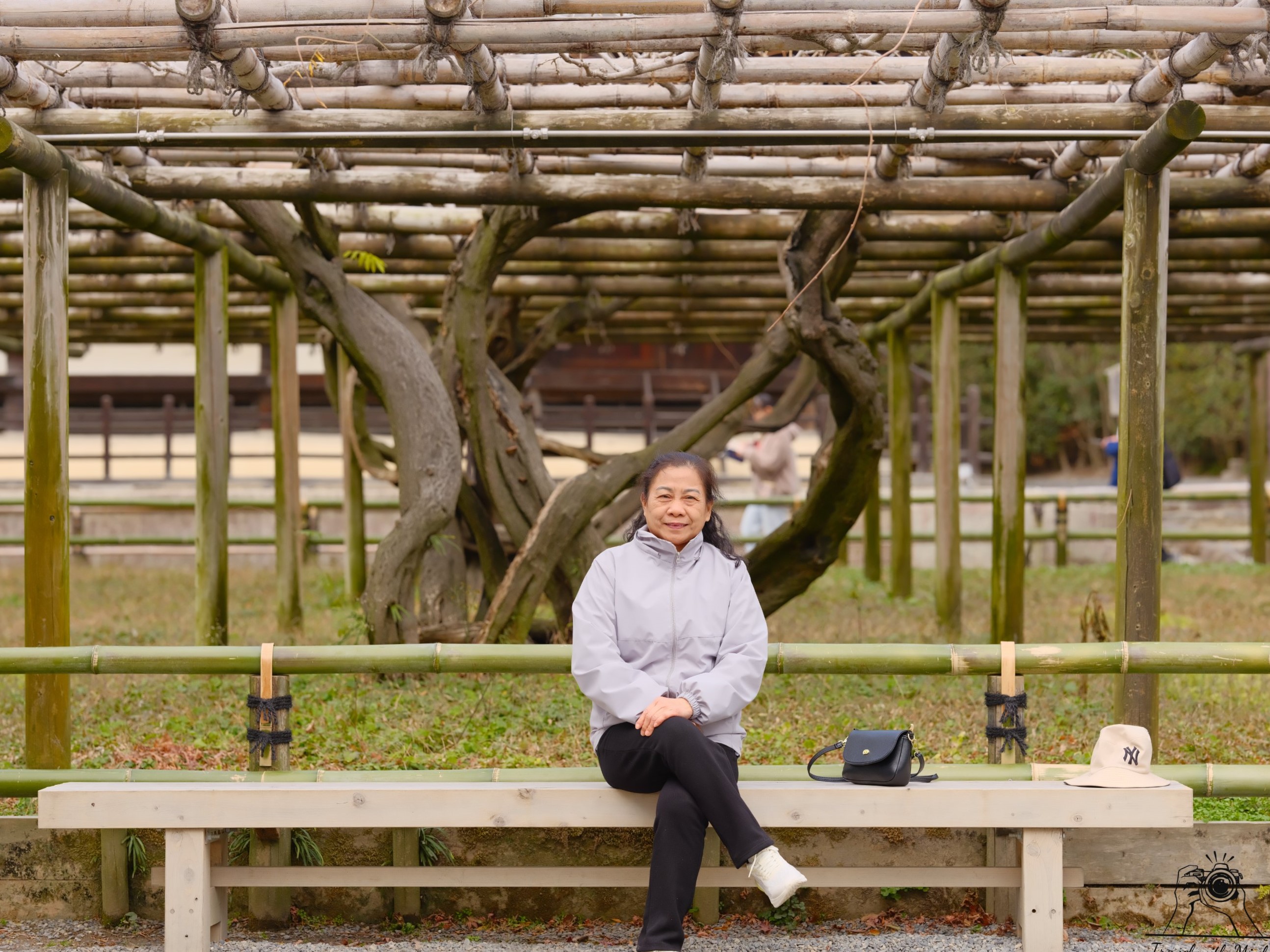 hoa tử đằng tại chùa byodo-in