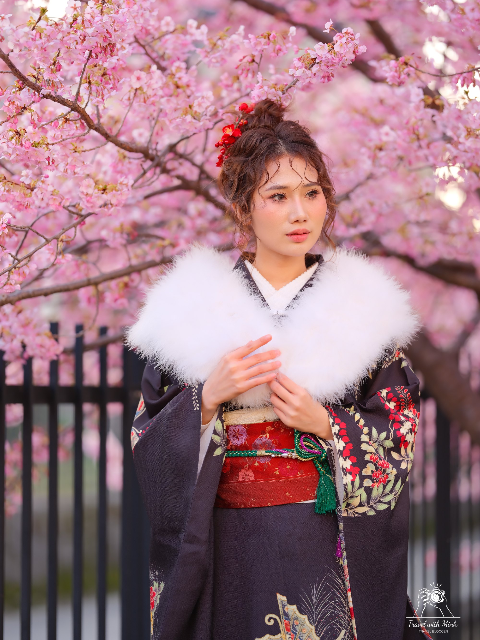 Enoshima fuji mountai eno dendscf4013