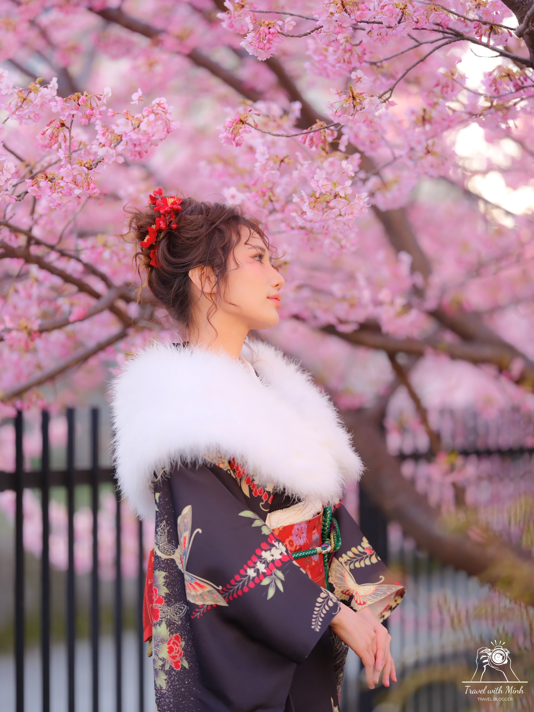 Kawazu zakura yodo kyoto2024 03 03 14 56 dscf3978