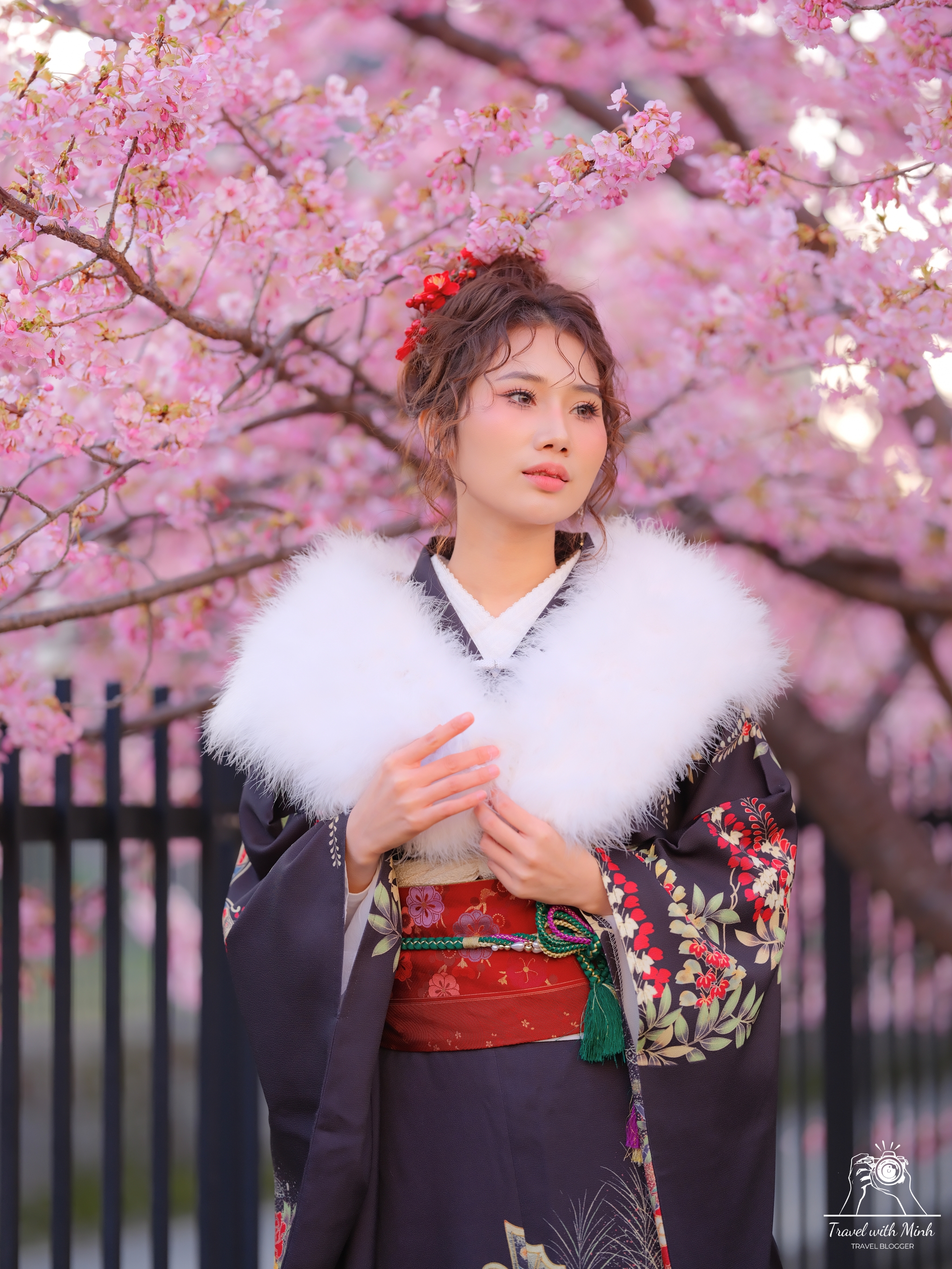 Kawazu zakura yodo kyoto2024 03 03 15 03 dscf4014