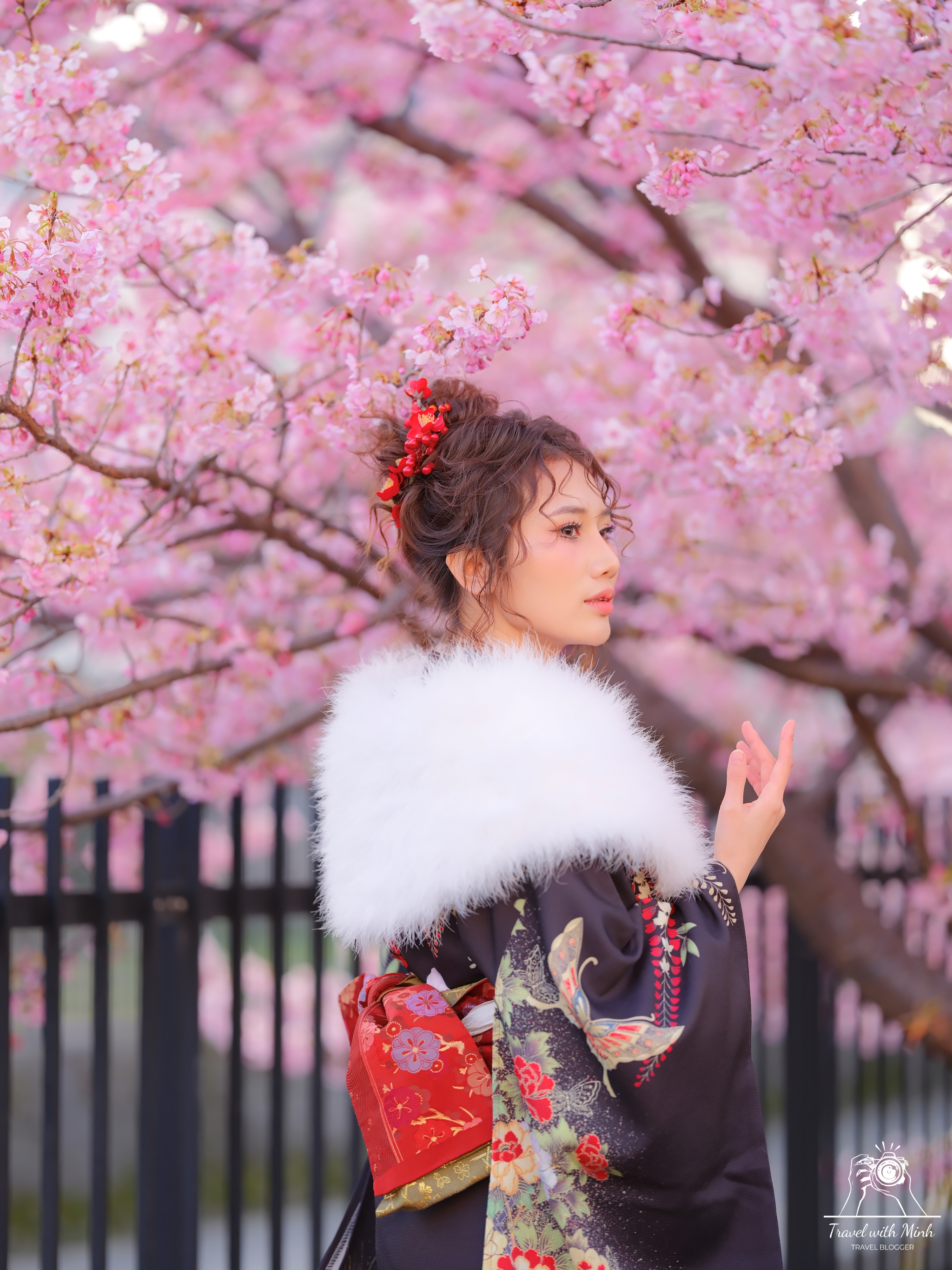 Kawazu zakura yodo kyoto2024 03 03 15 03 dscf4016