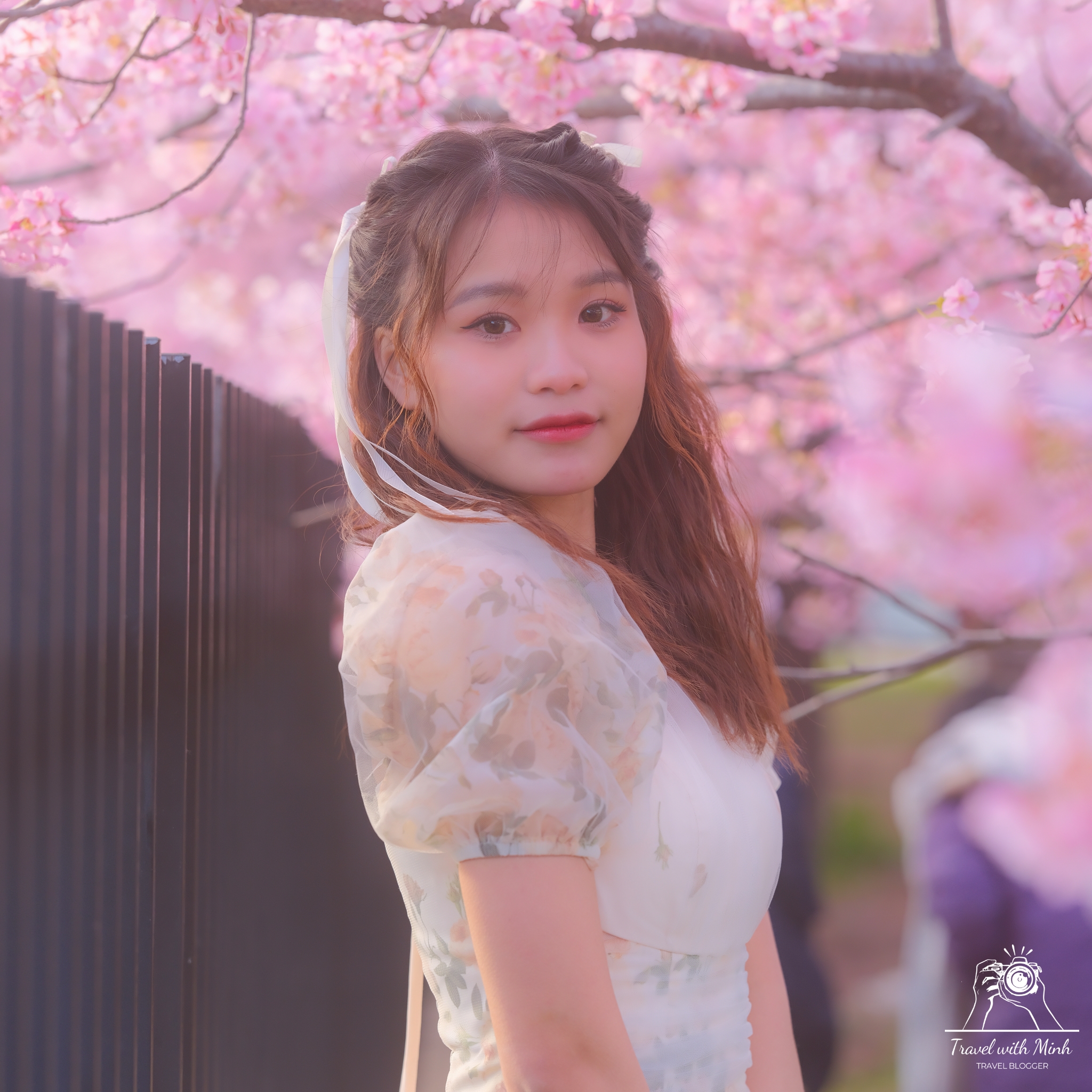 Kawazu zakura yodo kyoto2024 03 09 14 29 dscf4403 2