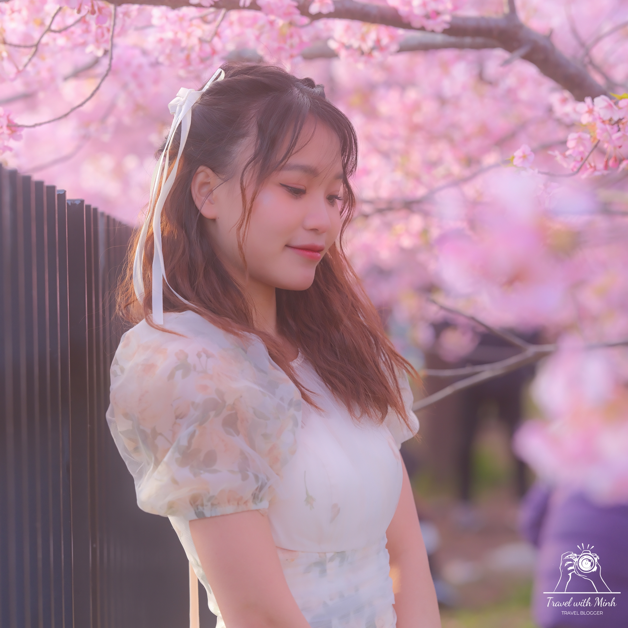 Kawazu zakura yodo kyoto2024 03 09 14 29 dscf4405 2 1