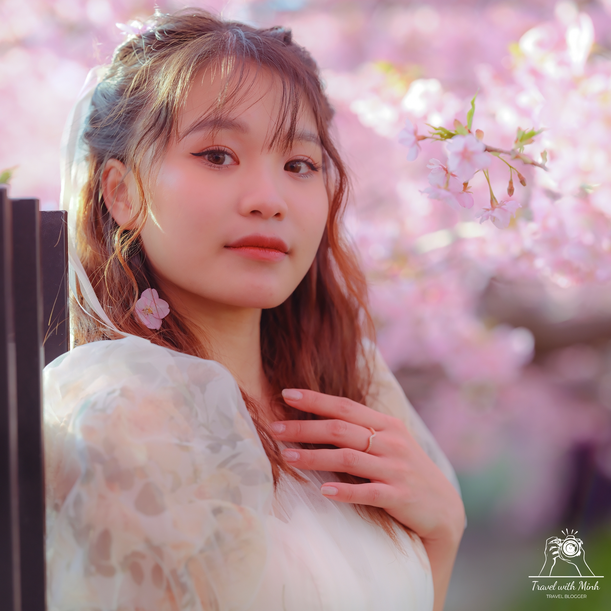 Kawazu zakura yodo kyoto2024 03 09 14 41 dscf4434 2