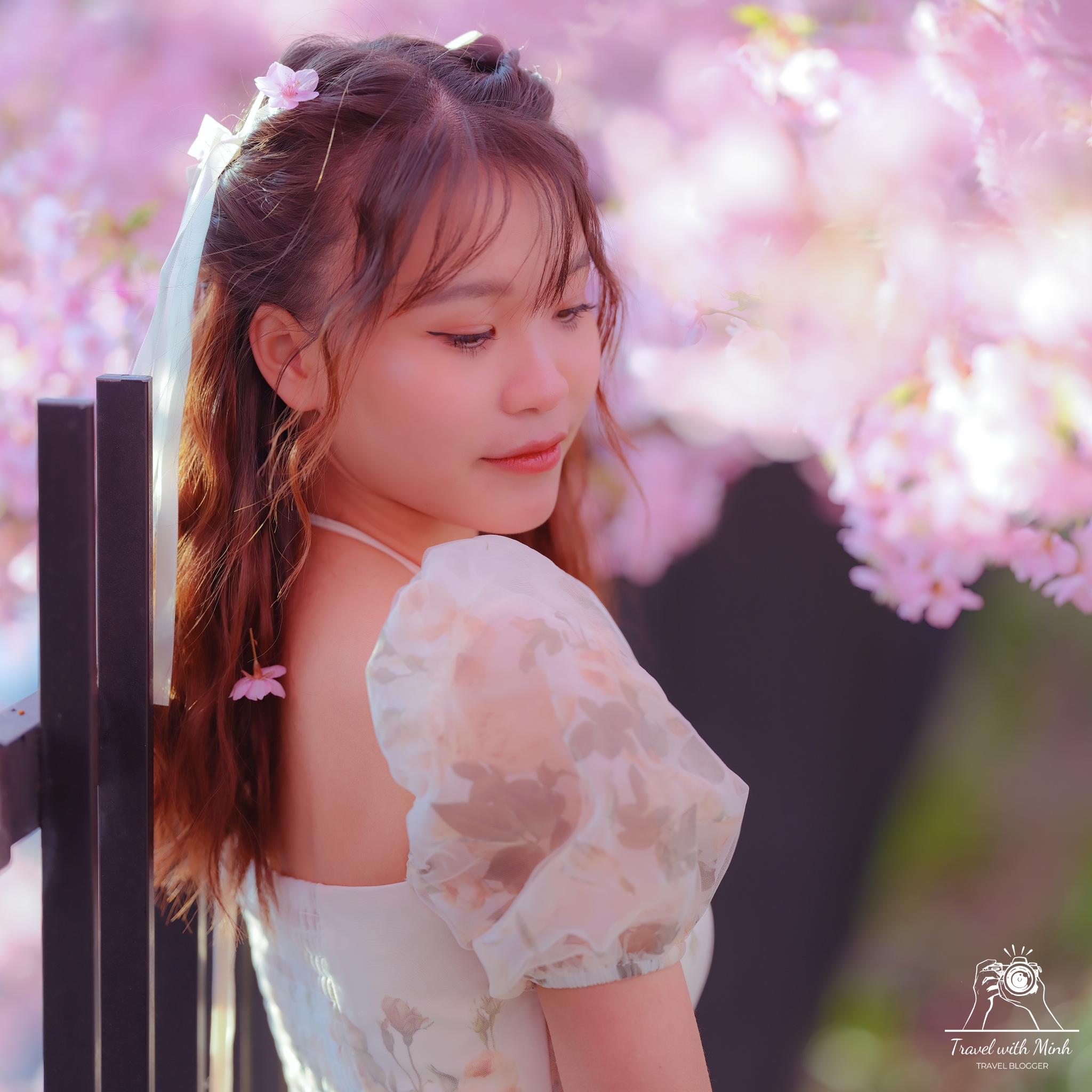 Kawazu zakura yodo kyoto2024 03 09 14 42 dscf4446 2