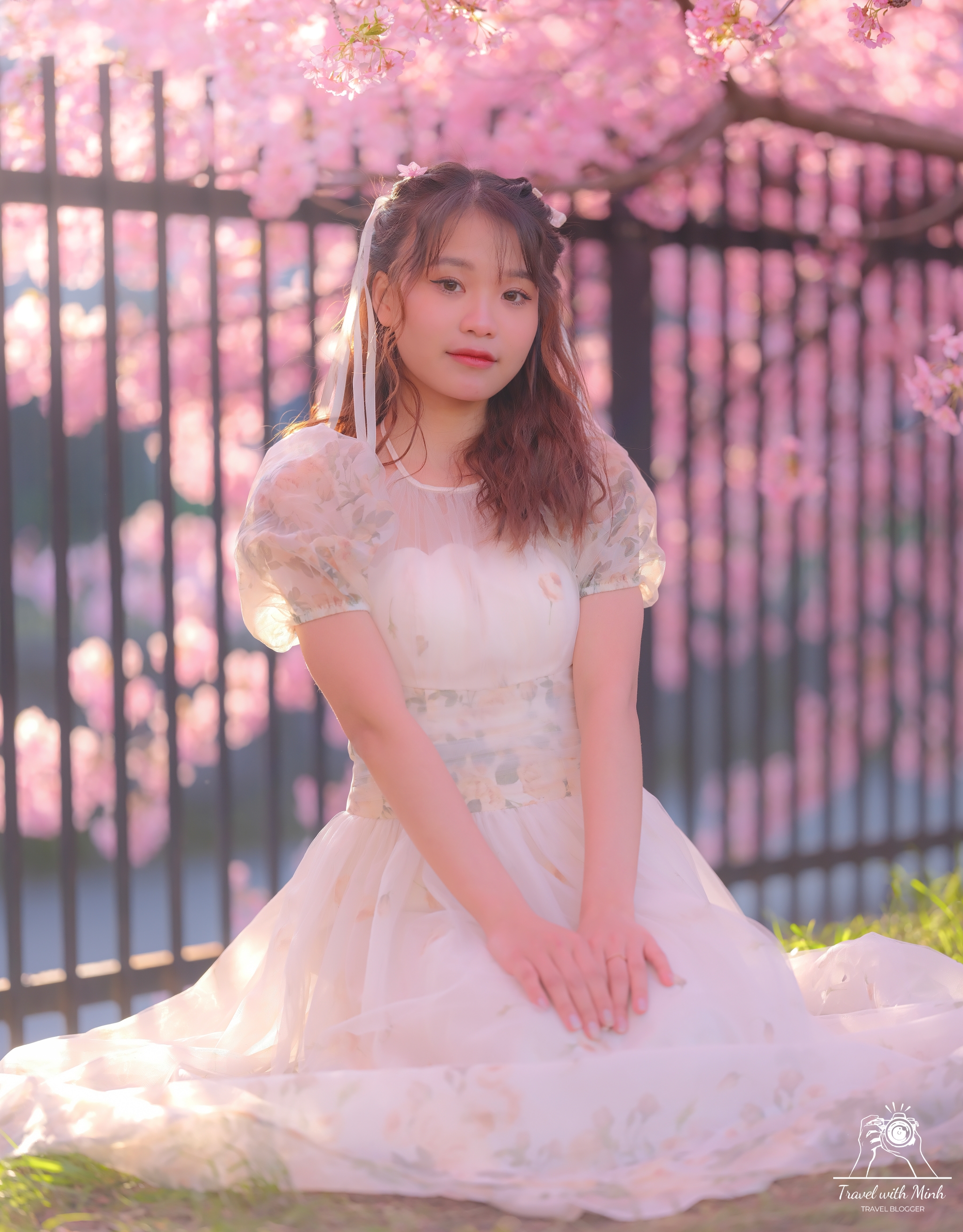 Kawazu zakura yodo kyoto2024 03 09 14 49 dscf4466 2 2