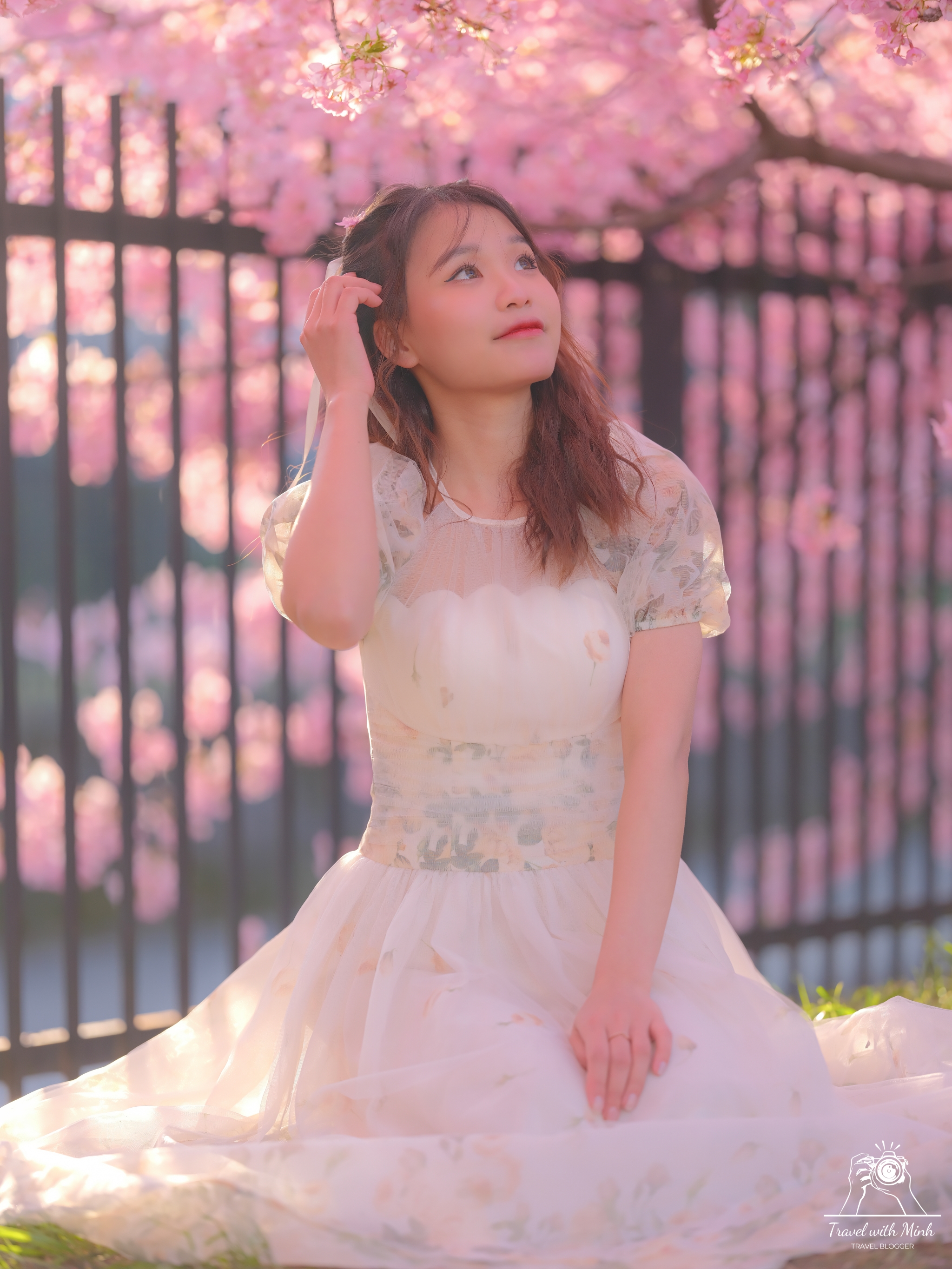 Kawazu zakura yodo kyoto2024 03 09 14 49 dscf4471 2