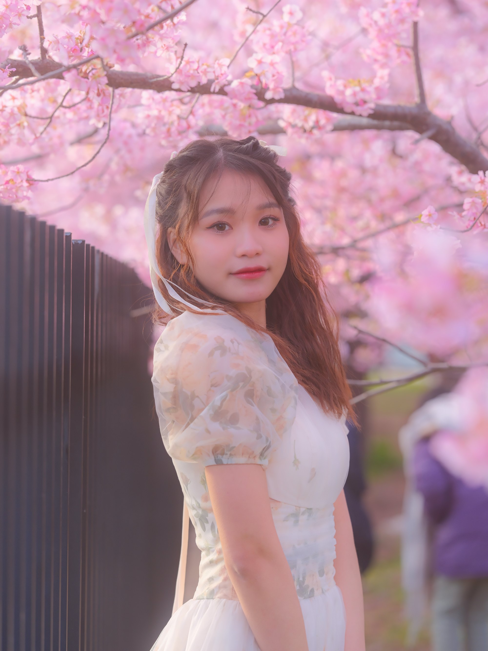 Chup anh du lich tai nhat ban kyoto