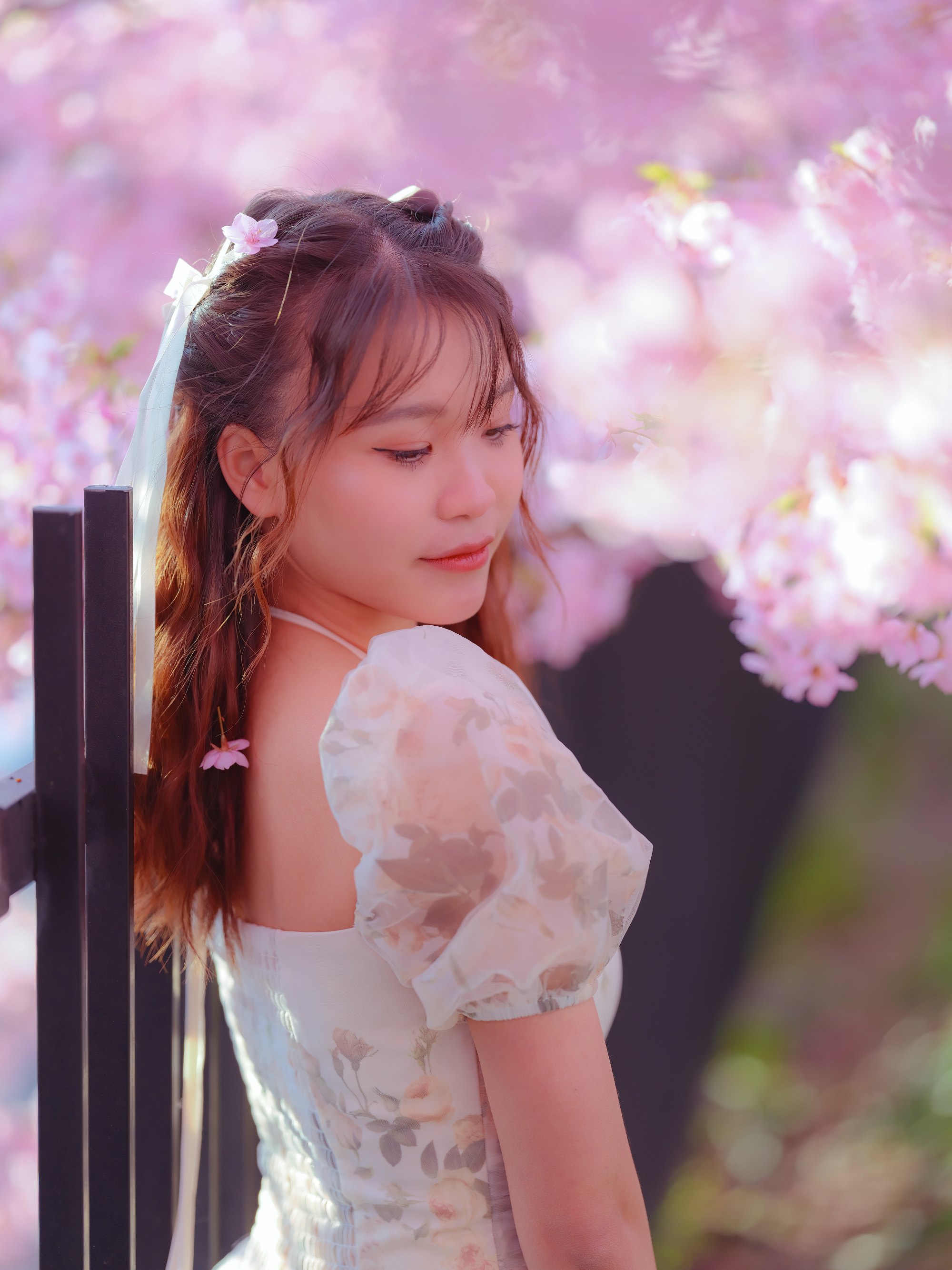 Chup anh du lich tai nhat ban nara