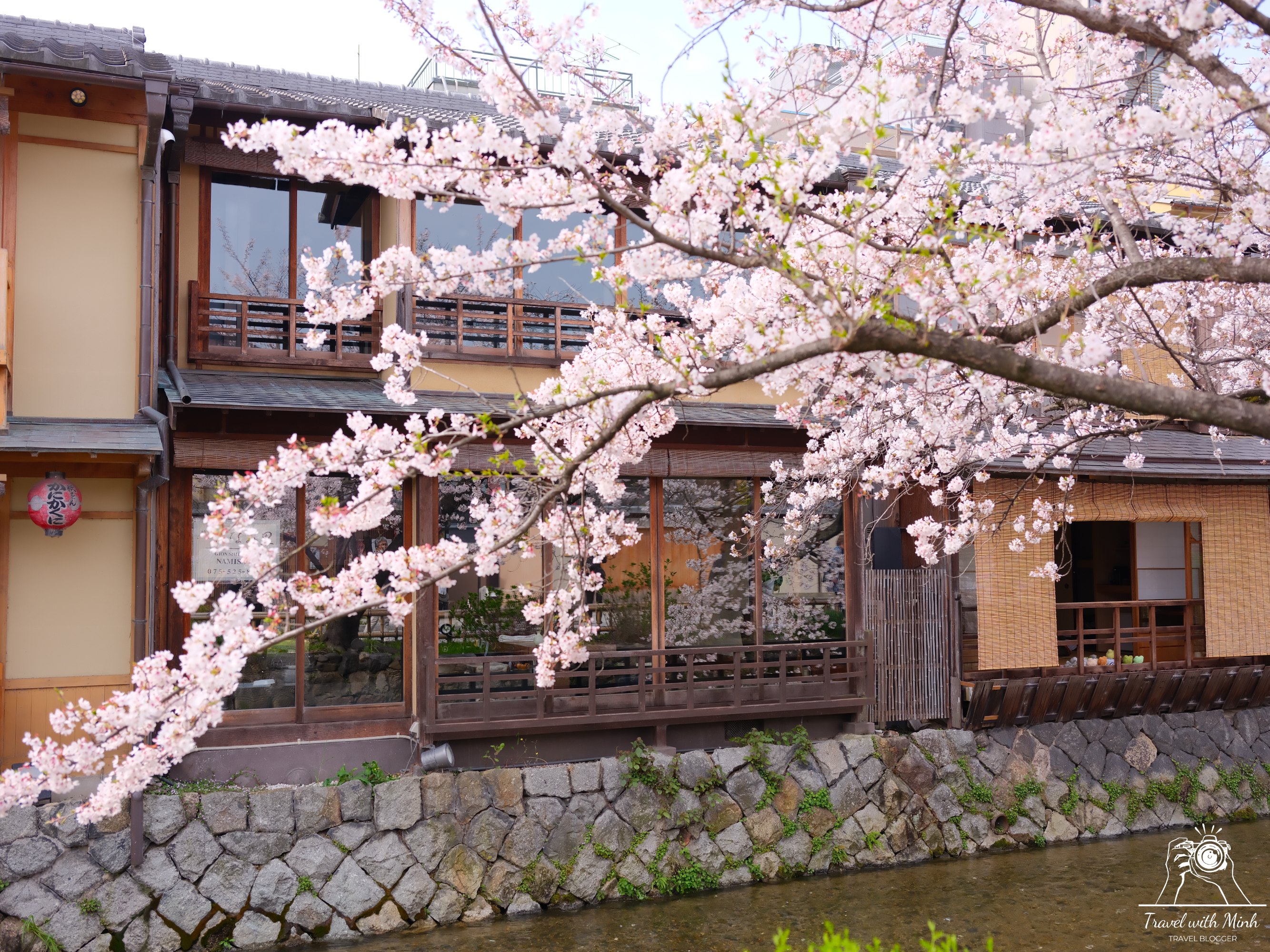 Sakura kyotodscf5822