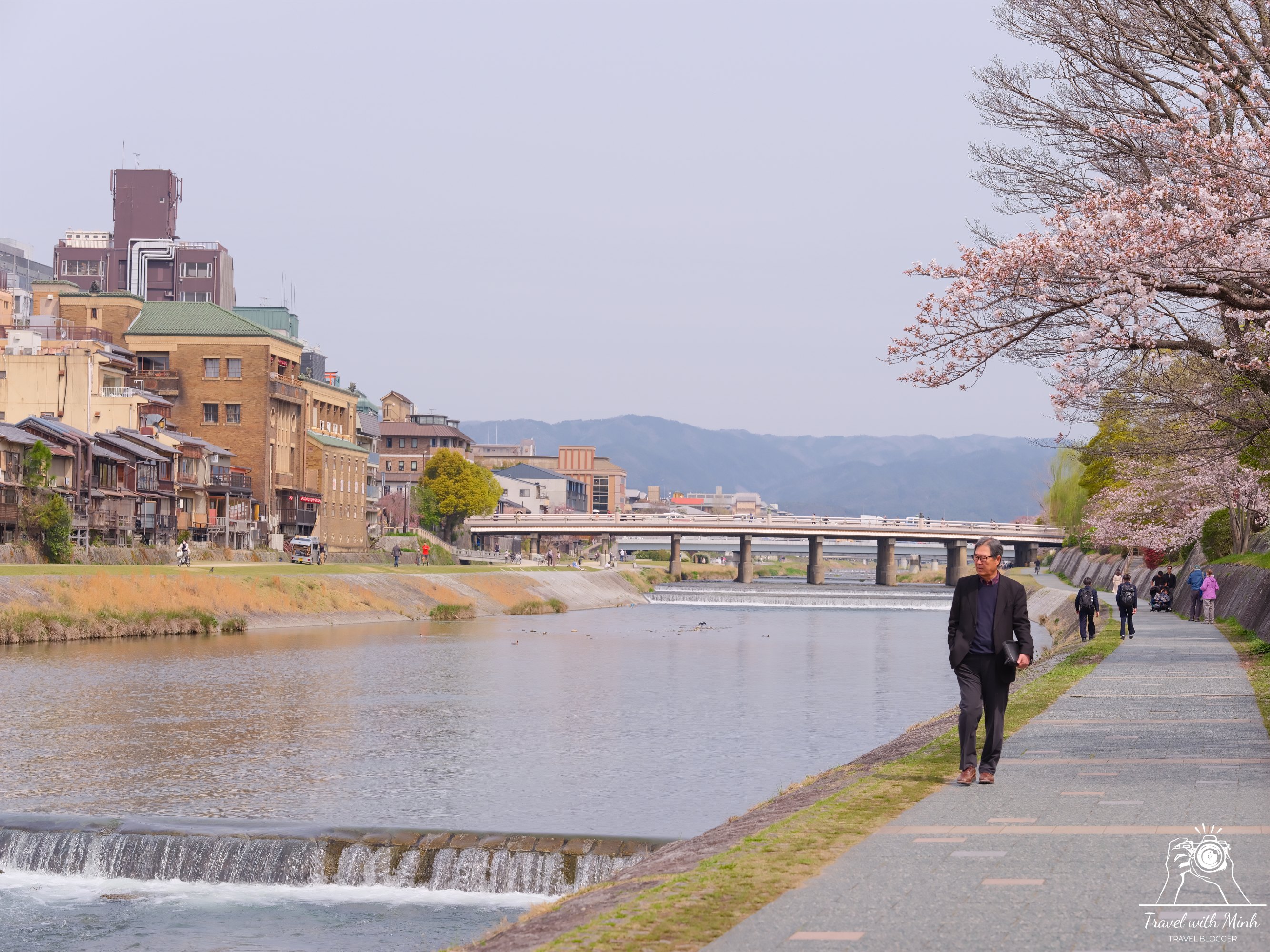 Sakura kyotodscf5899