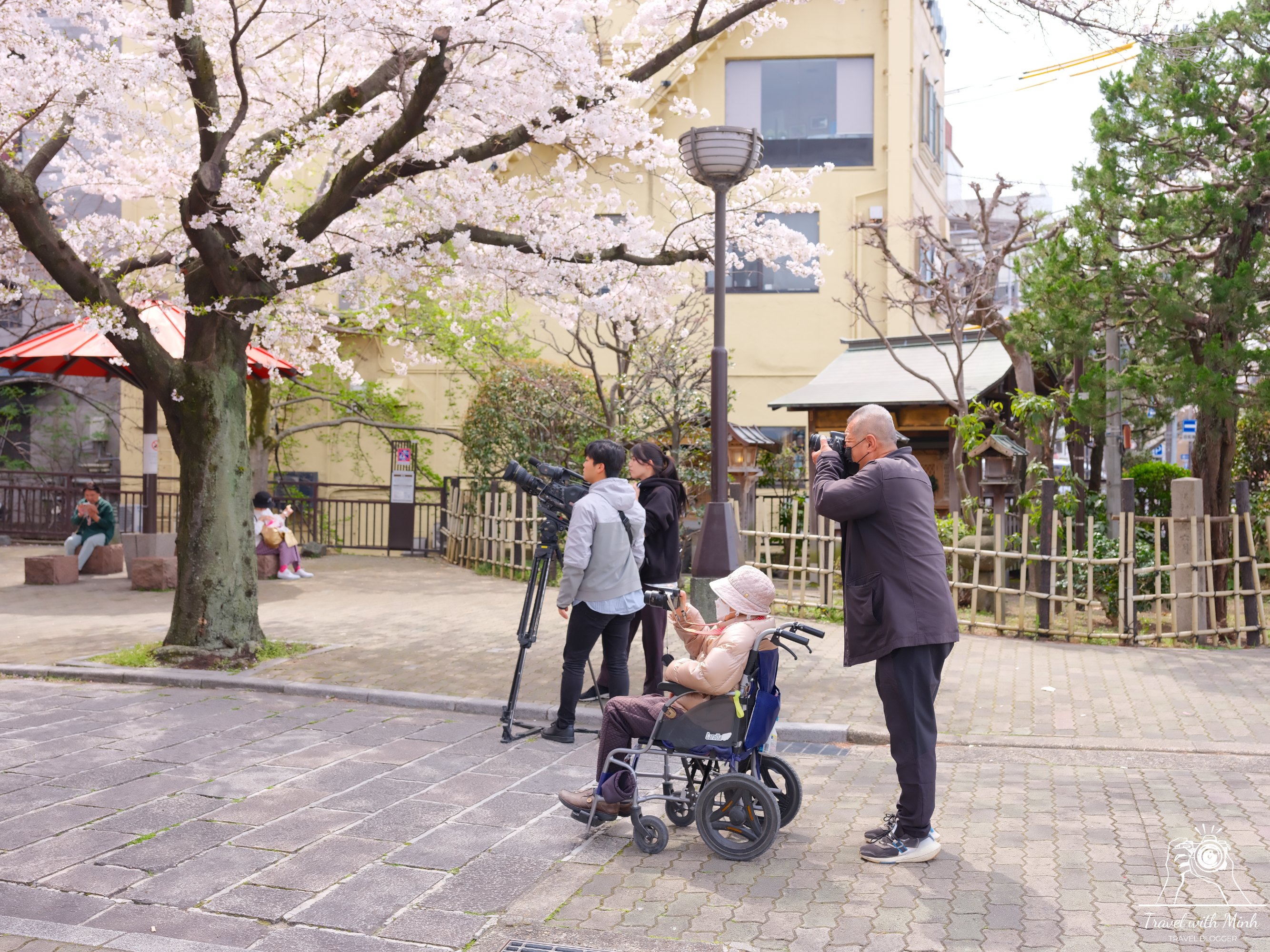 Sakura kyotodscf5932 1