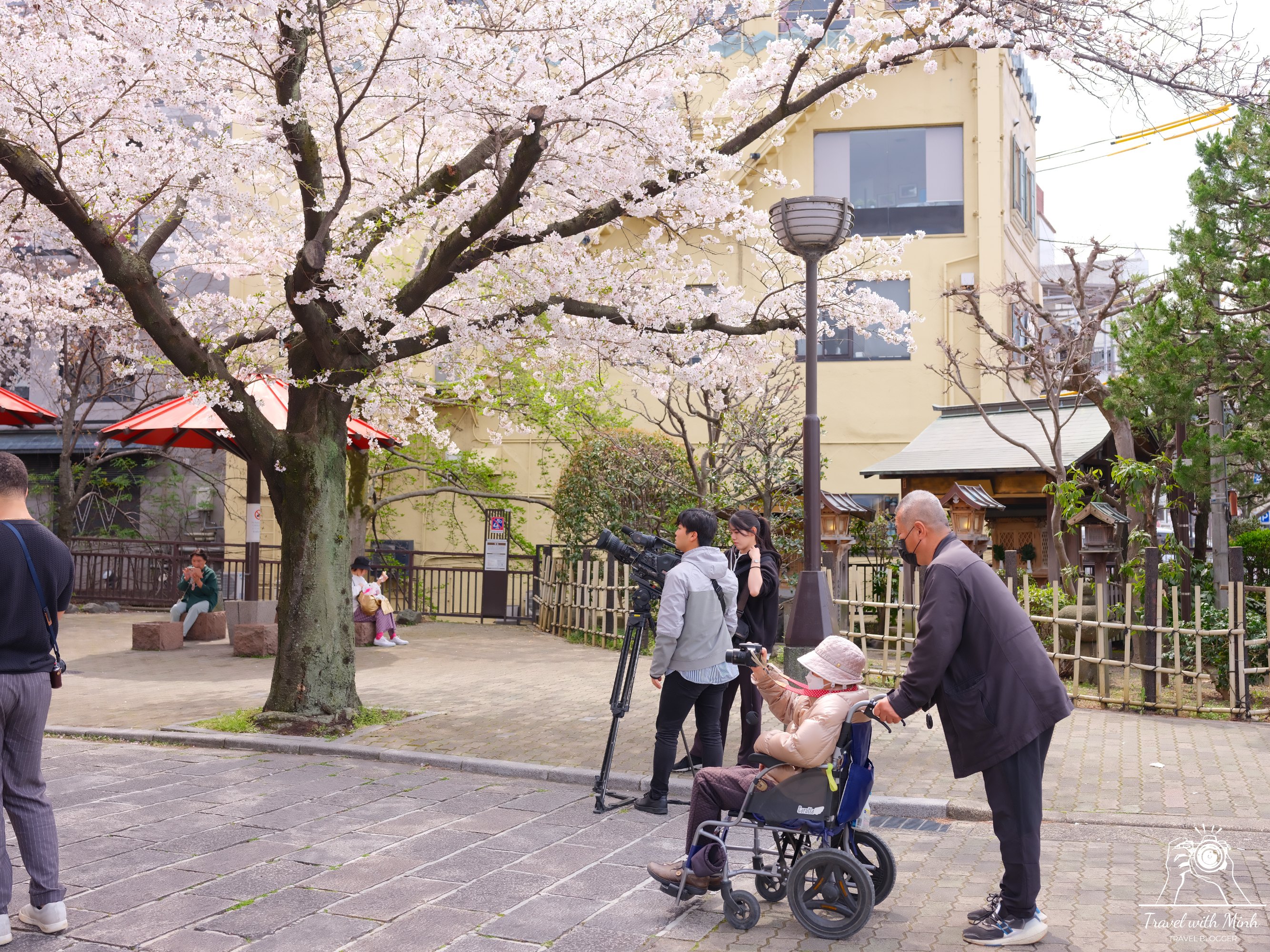 Sakura kyotodscf5933 1