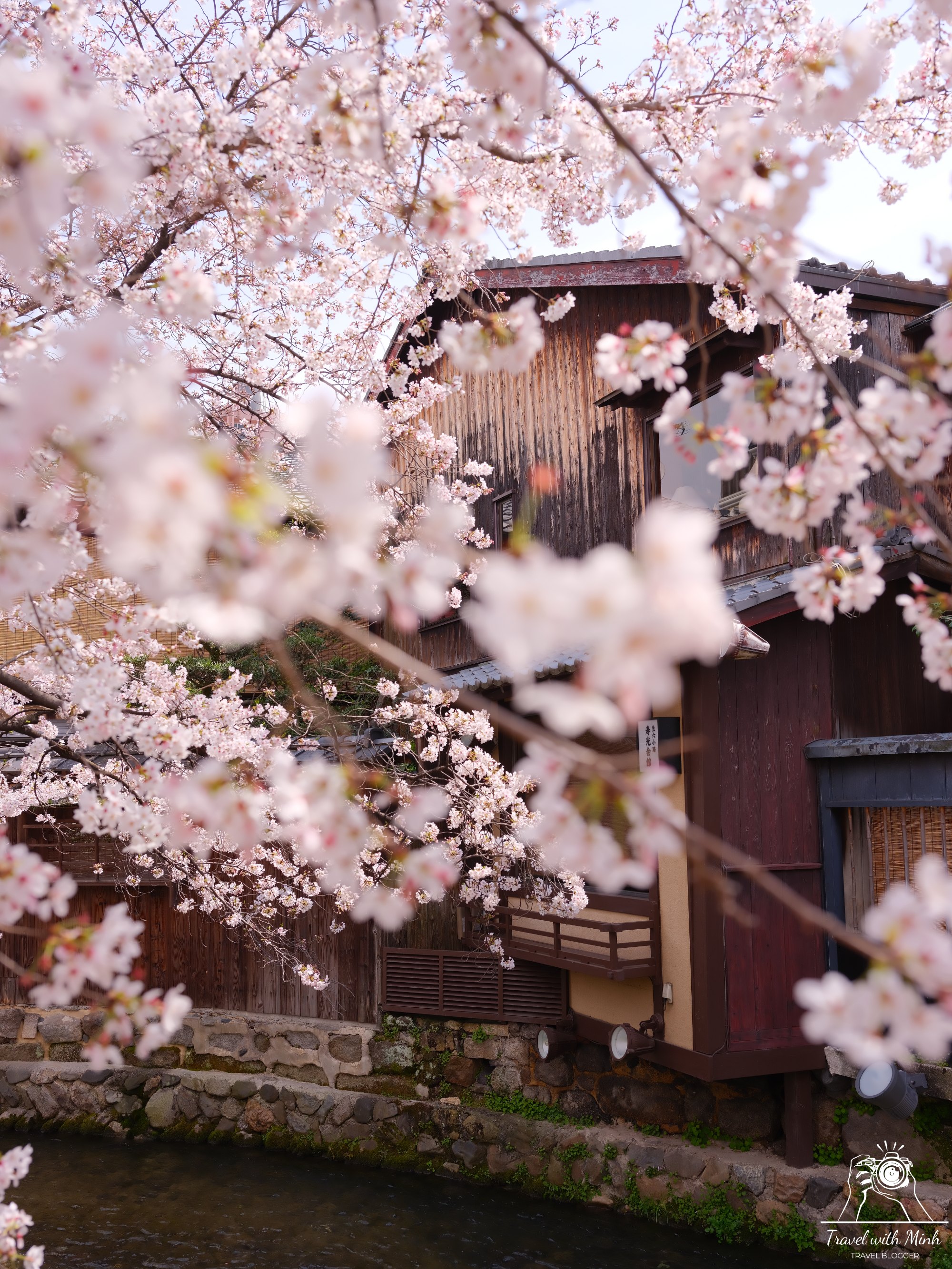 Sakura kyotodscf5962