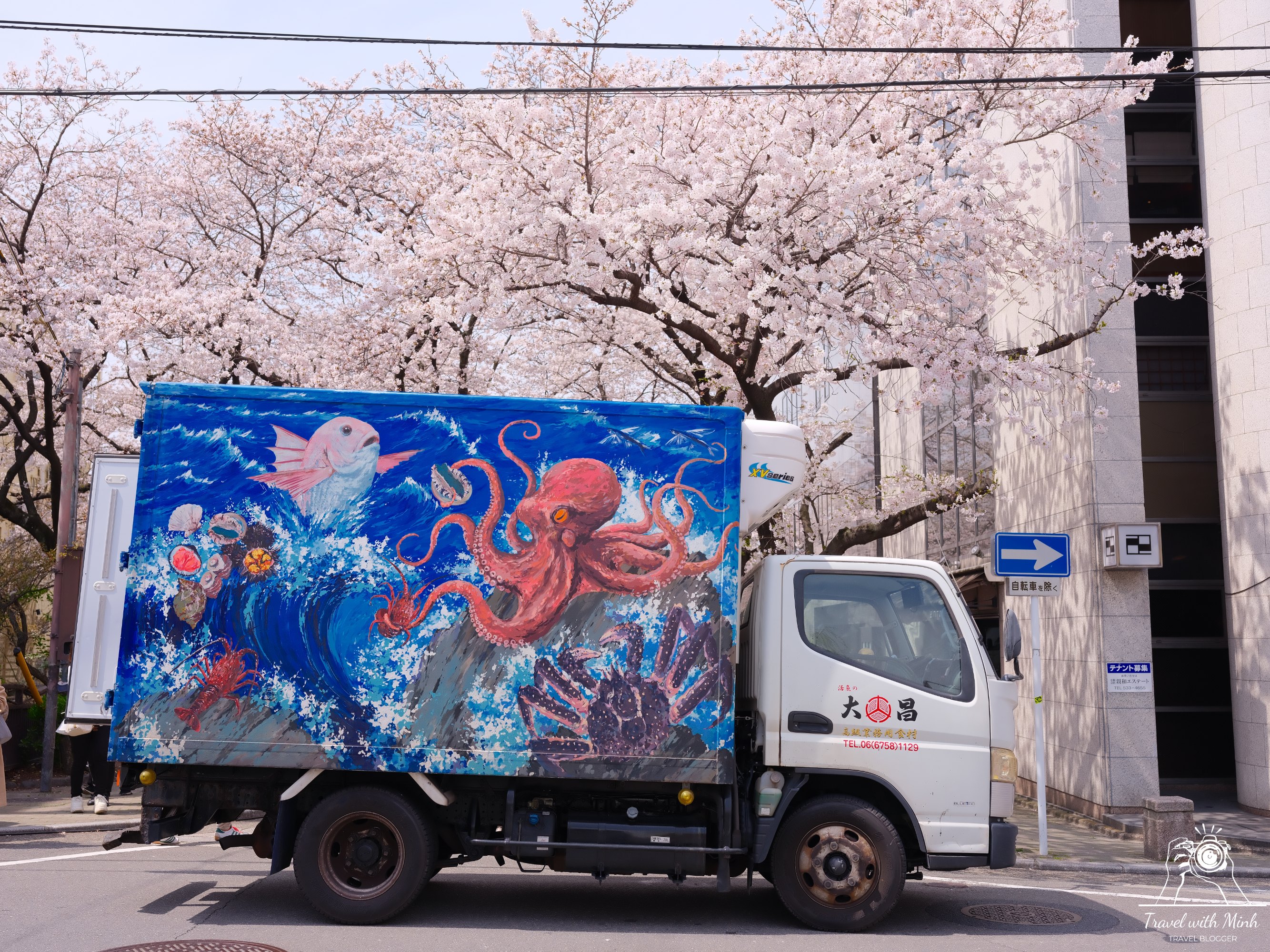 Sakura kyotodscf5966