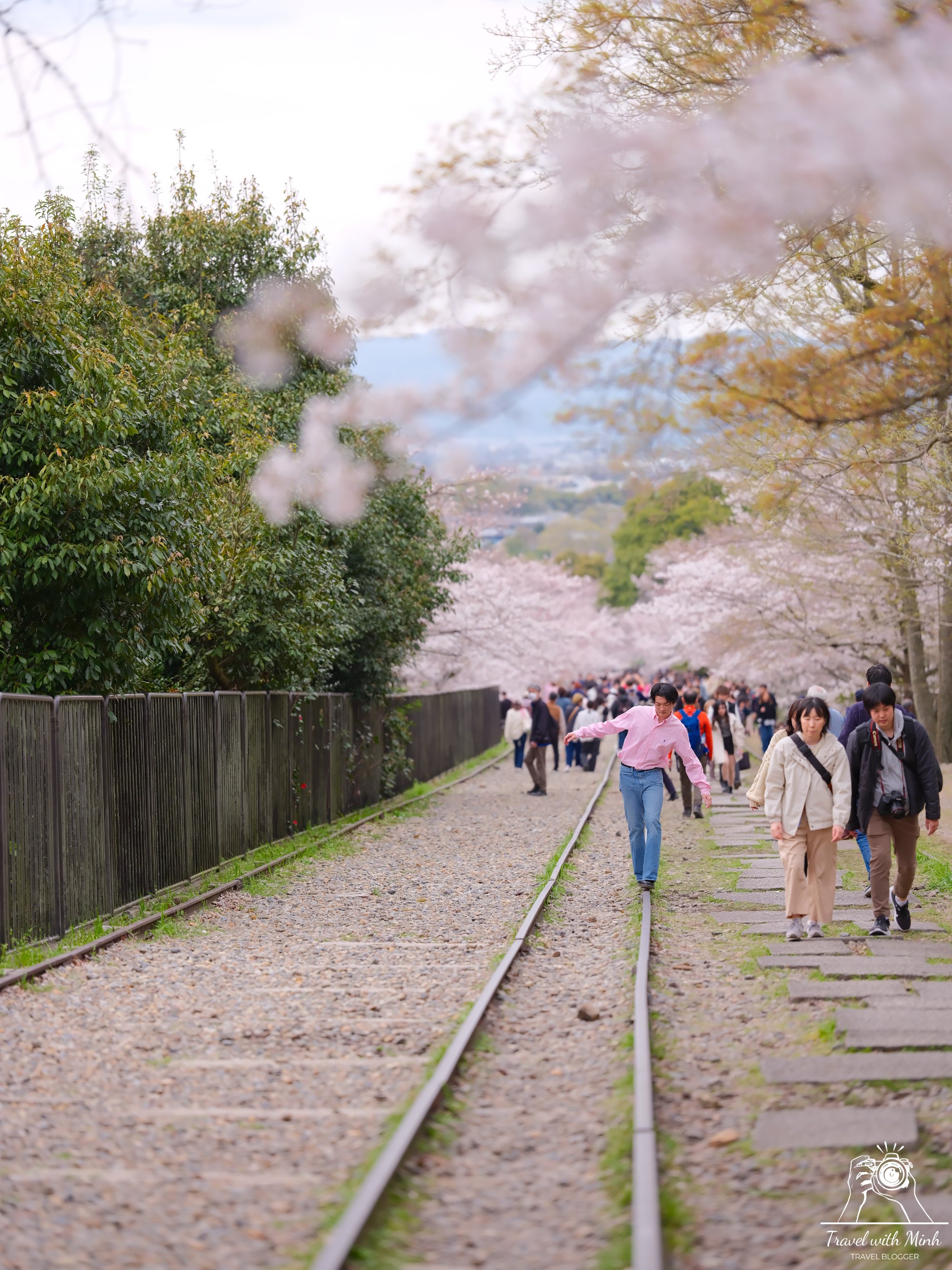 Sakura kyotodscf6306