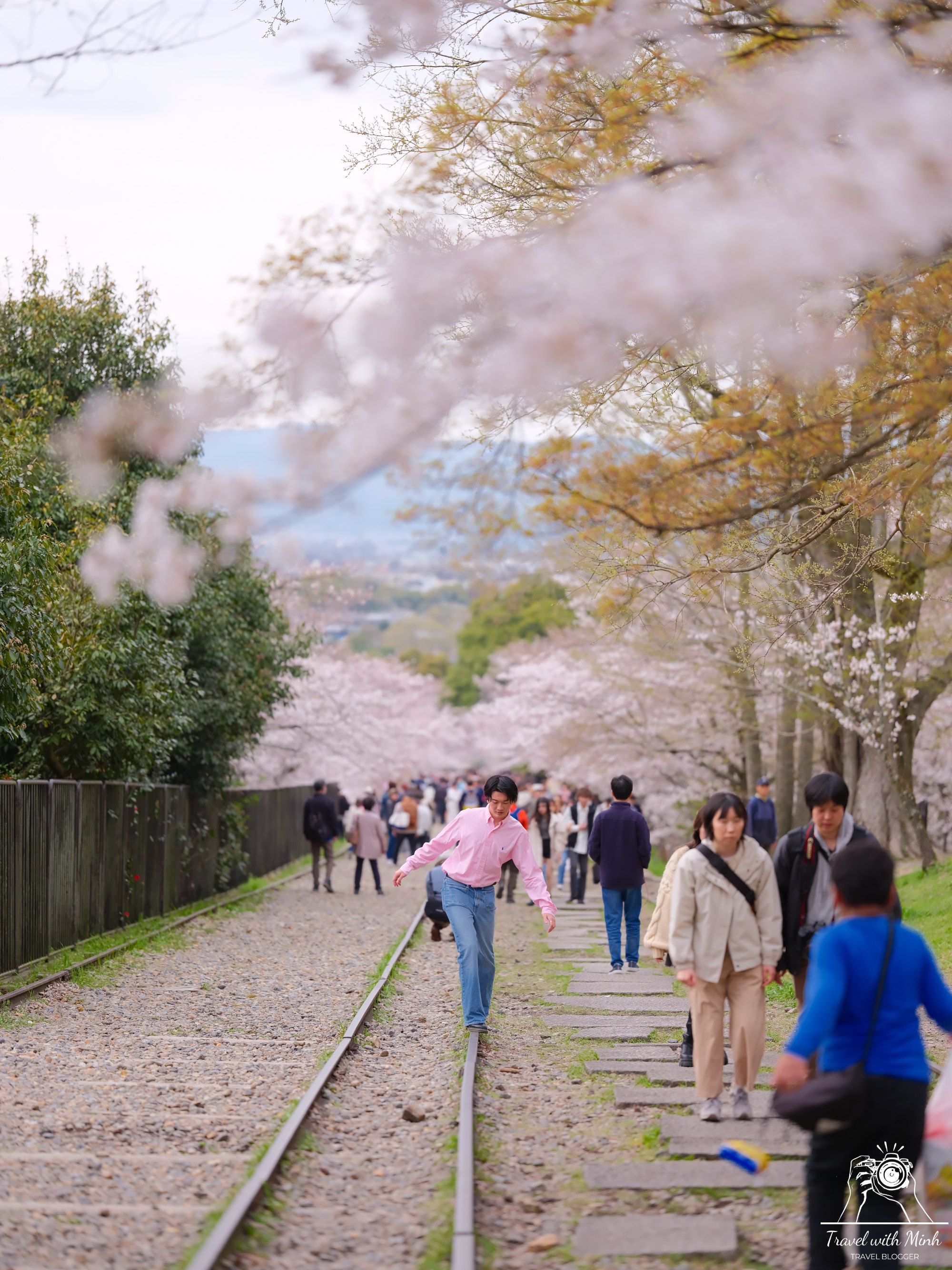 Sakura kyotodscf6307