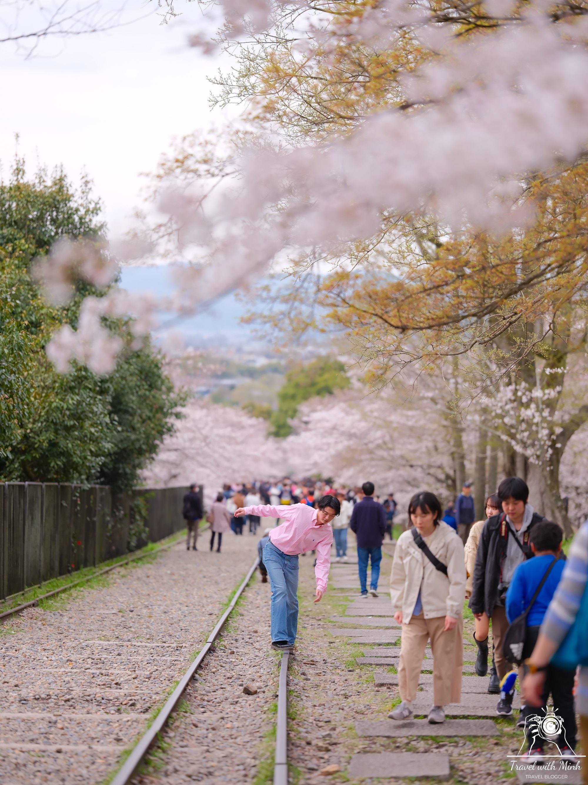 Sakura kyotodscf6308