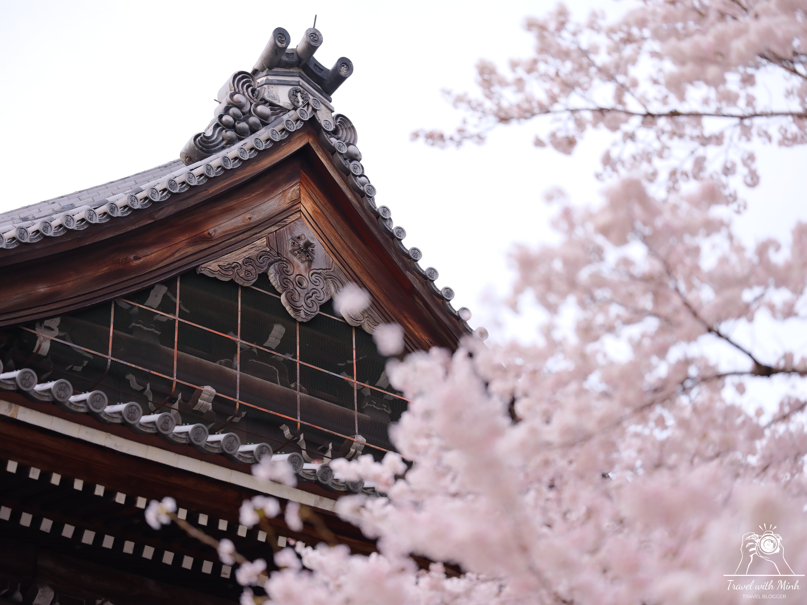 Sakura kyotodscf6348