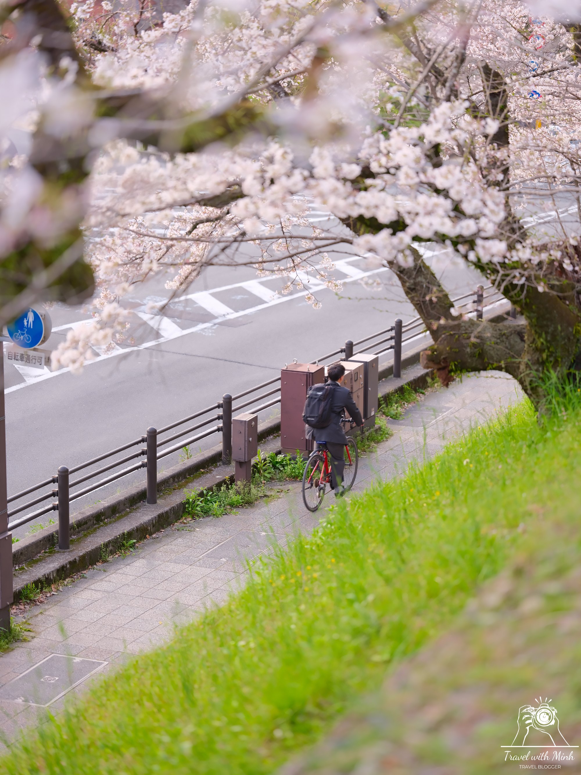 Sakura kyotodscf6363