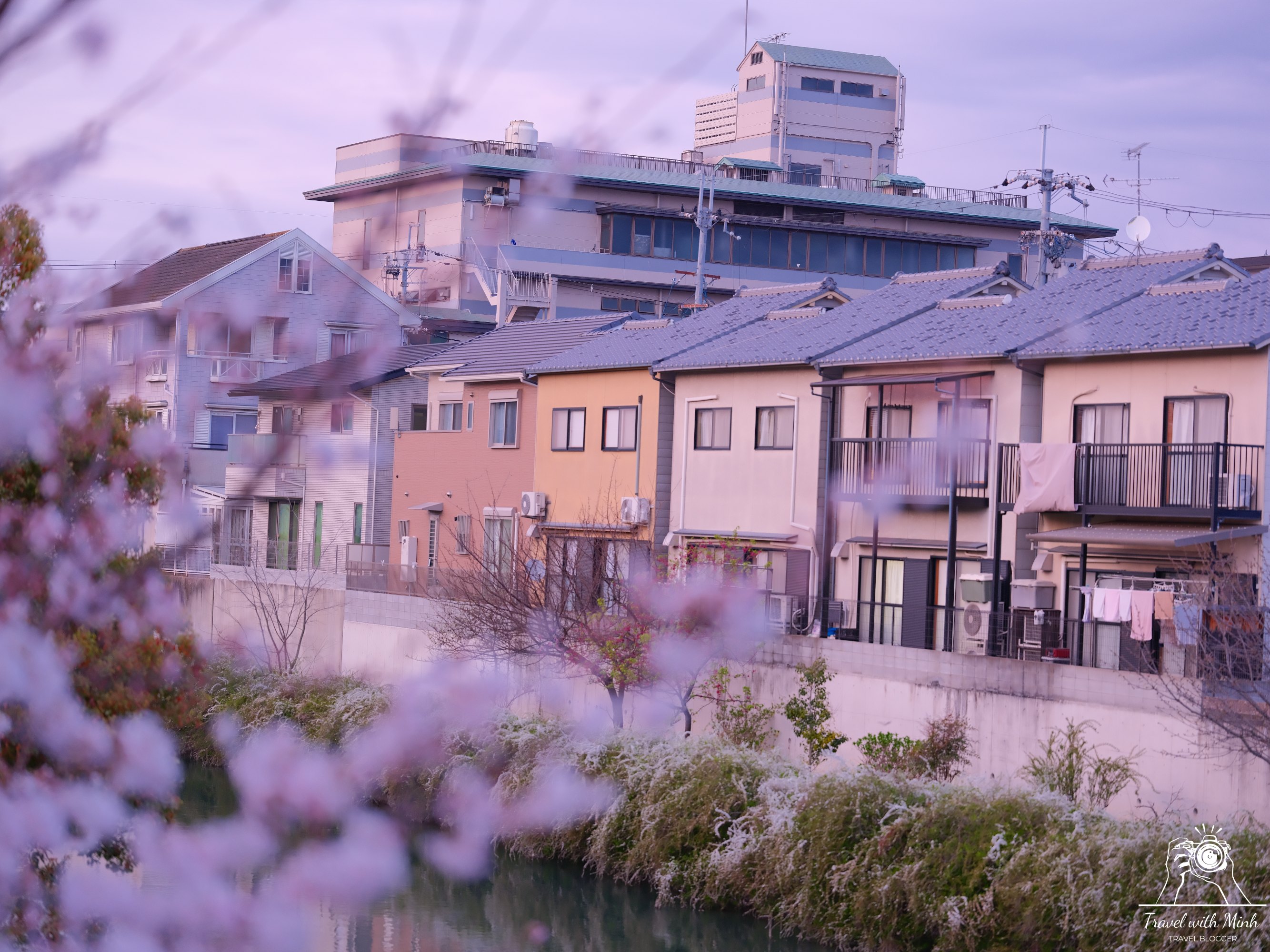 Sakura kyotodscf6414 1