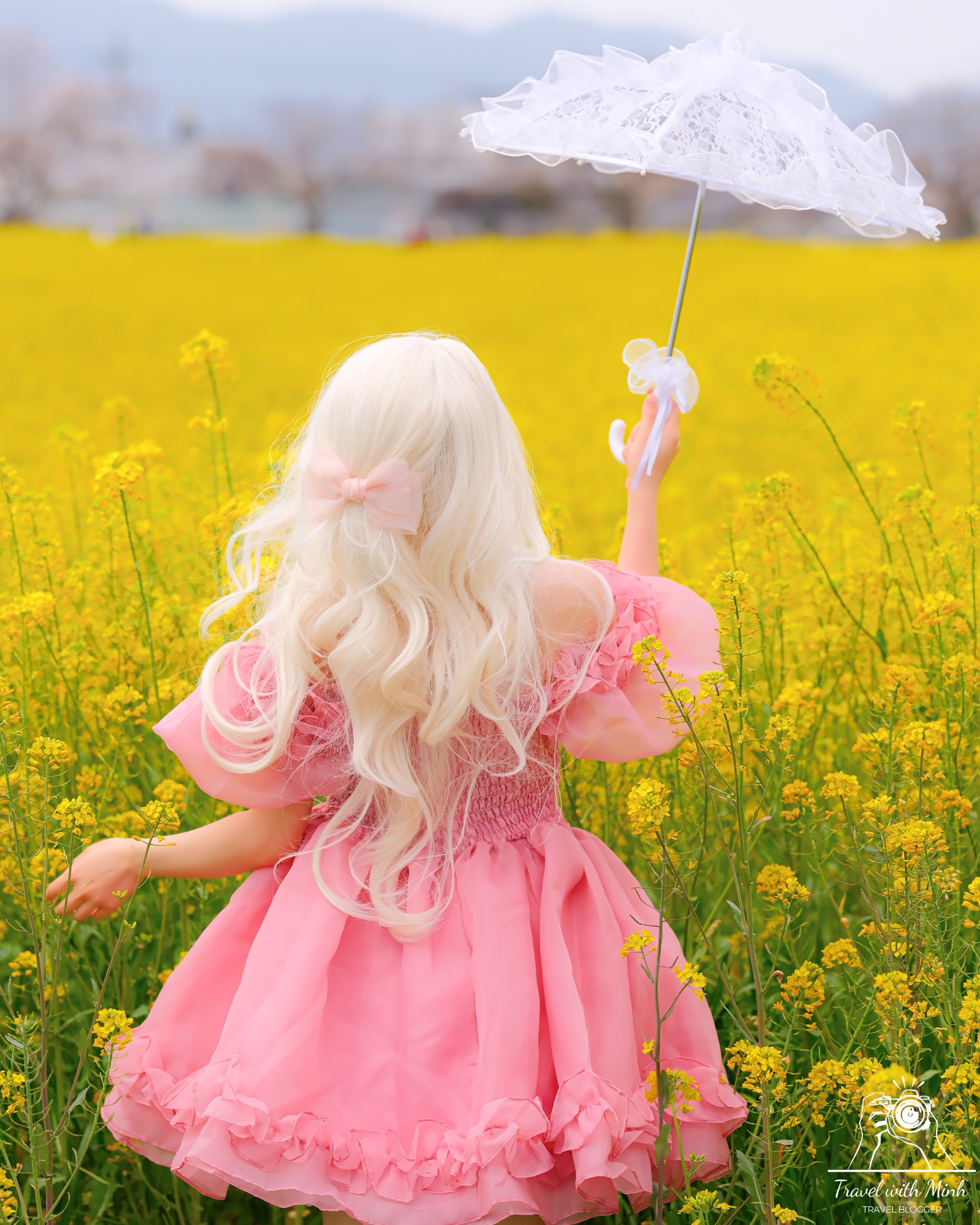 Fujiwara ruins castle nara sakuradscf5214