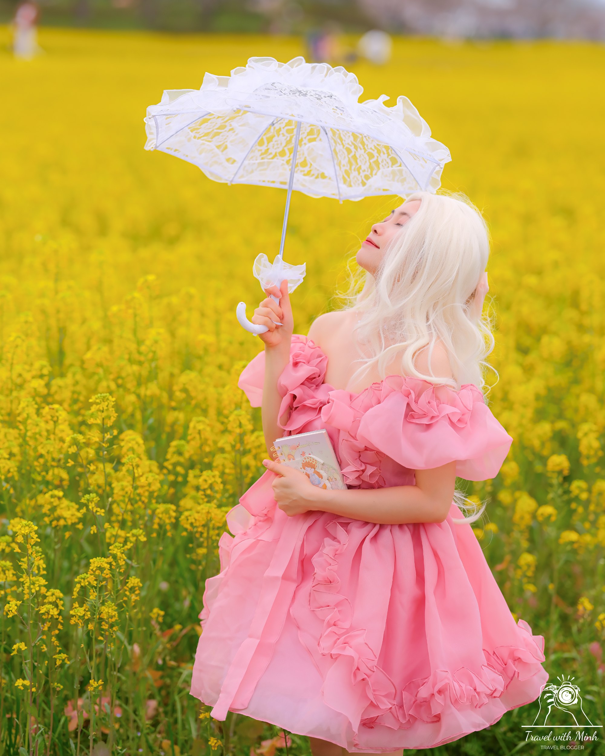 Fujiwara ruins castle nara sakuradscf5315 1