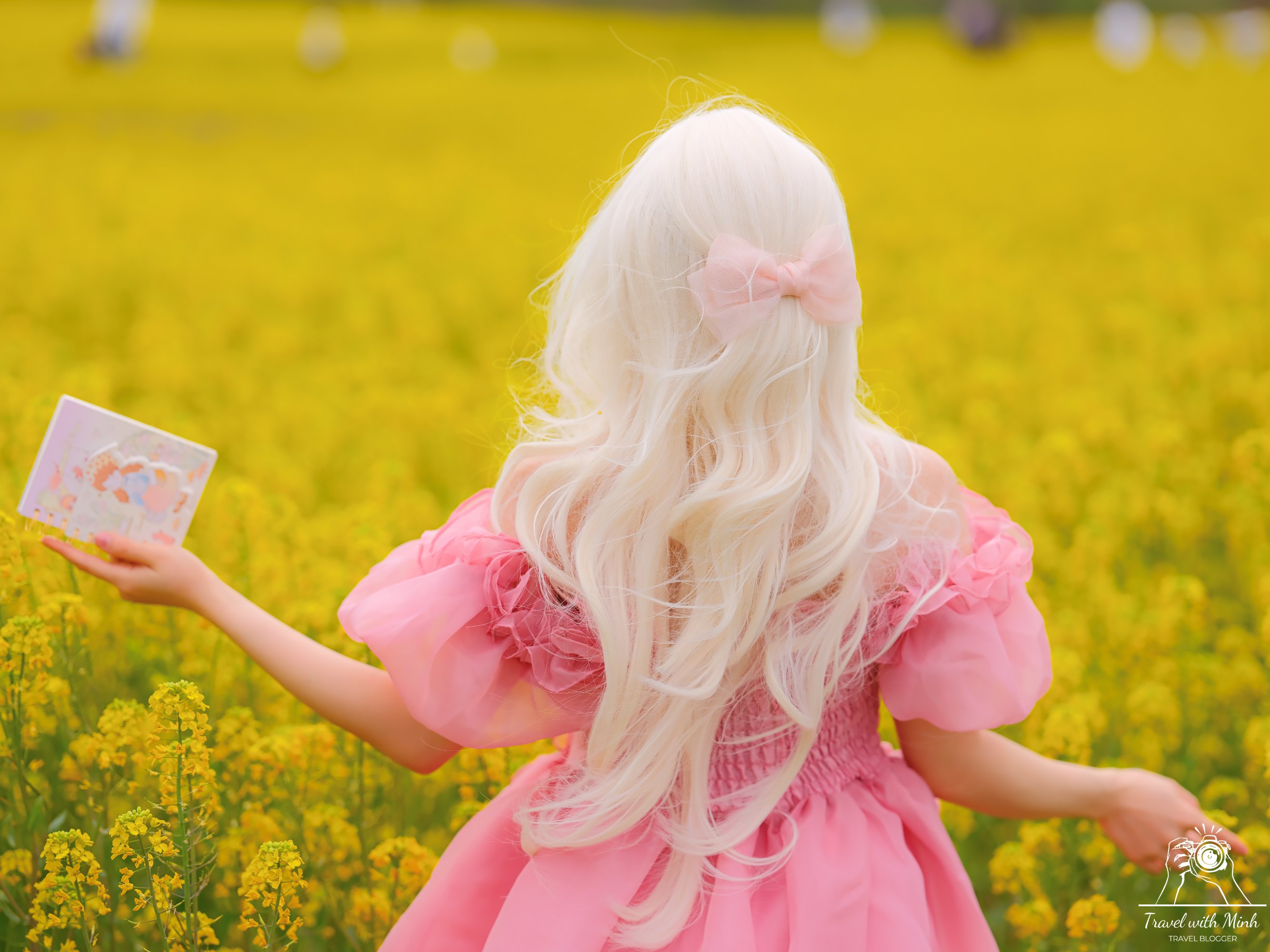 Fujiwara ruins castle nara sakuradscf5331