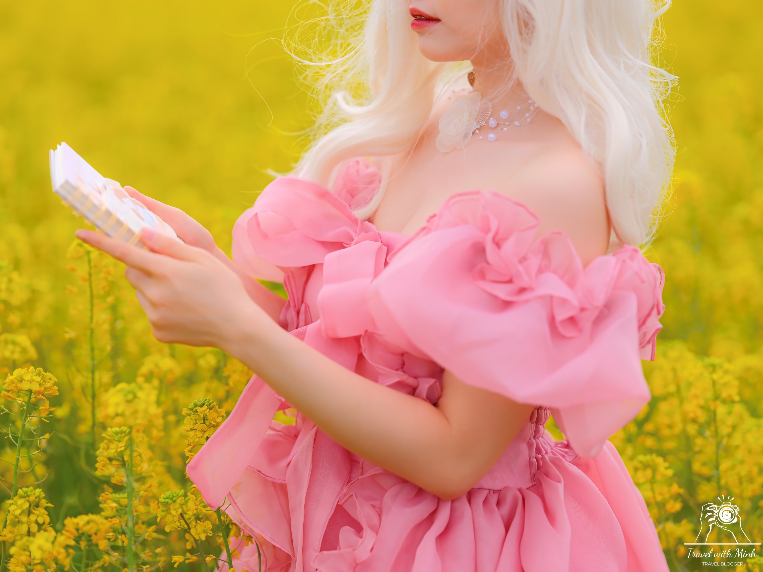 Fujiwara ruins castle nara sakuradscf5336