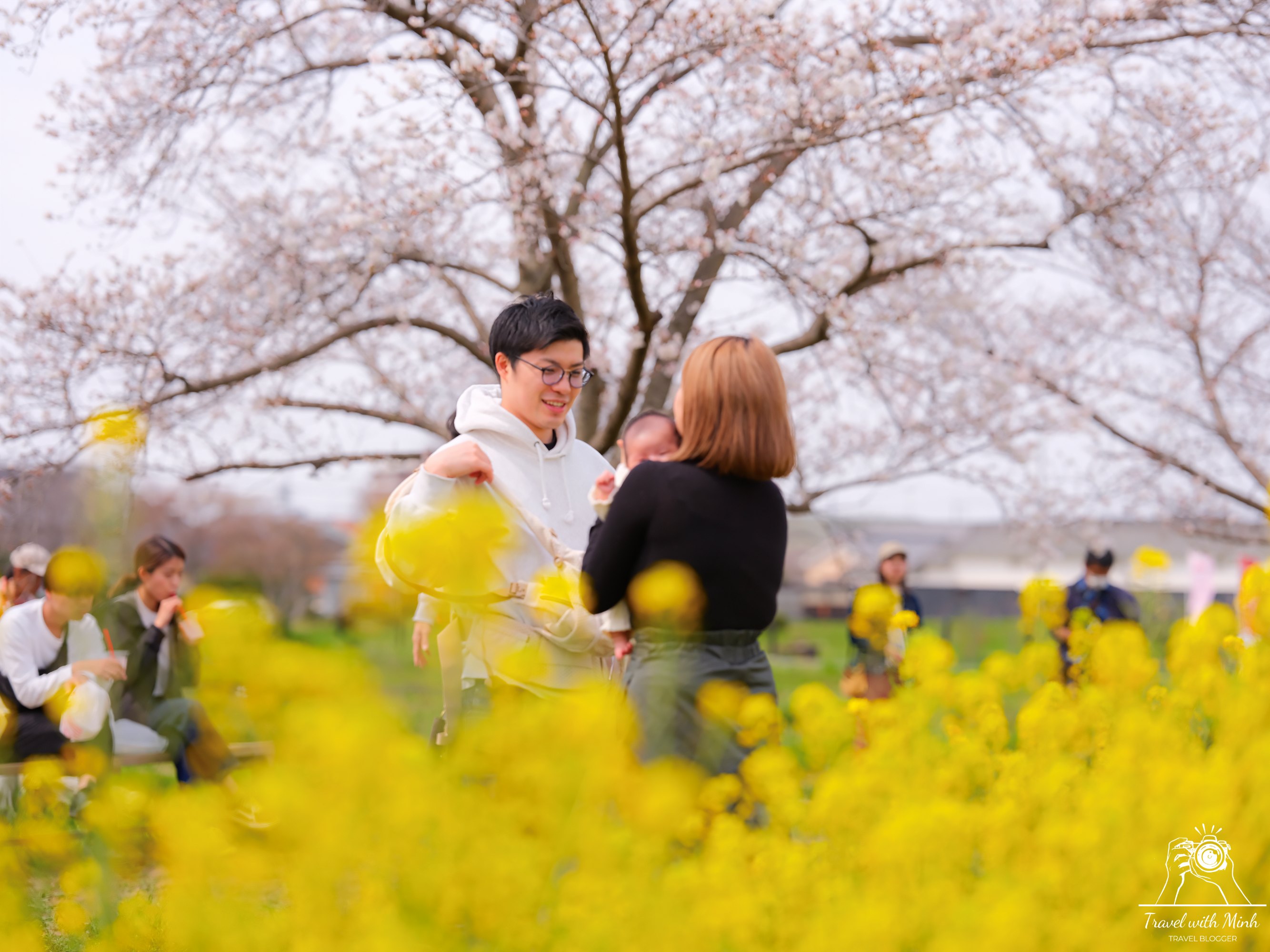 Fujiwara ruins castle nara sakuradscf5423