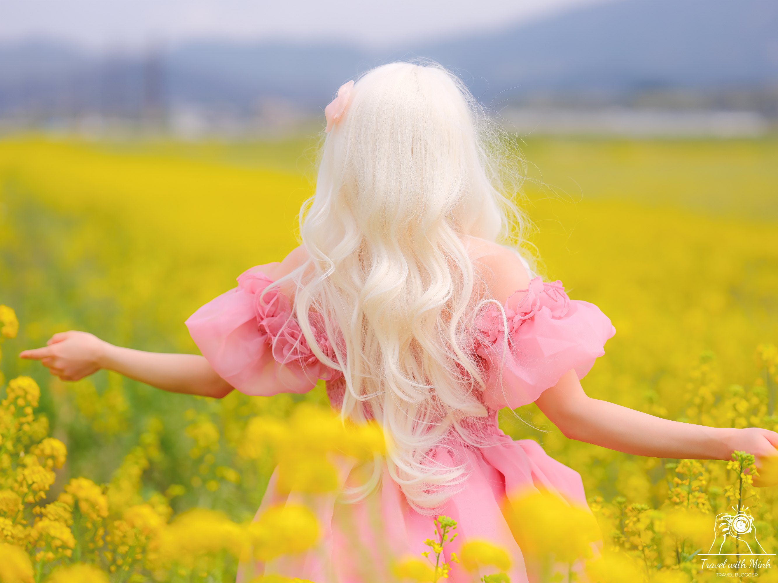 Fujiwara ruins castle nara sakuradscf5430