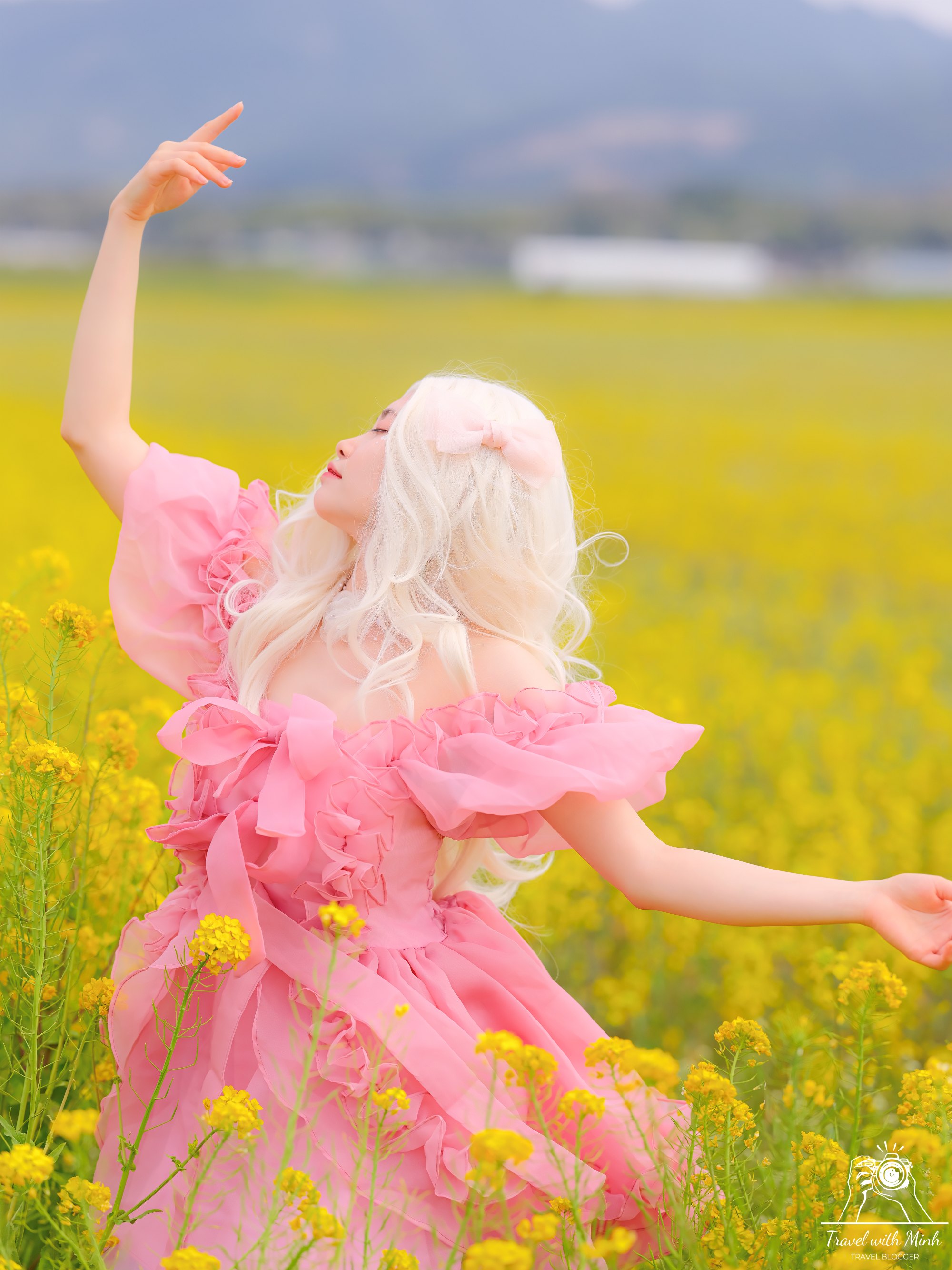 Fujiwara ruins castle nara sakuradscf5439
