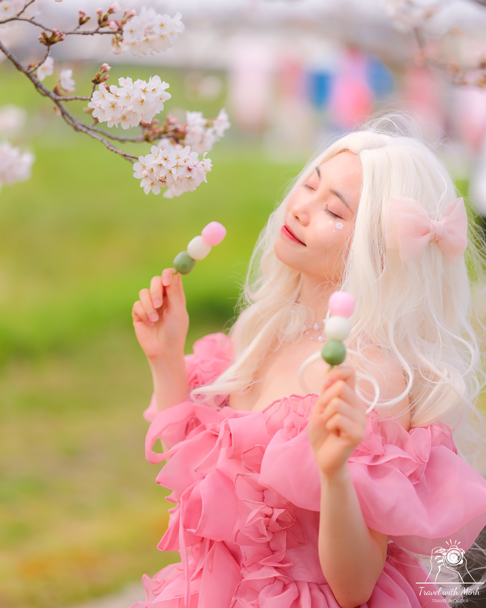 Fujiwara ruins castle nara sakuradscf5441