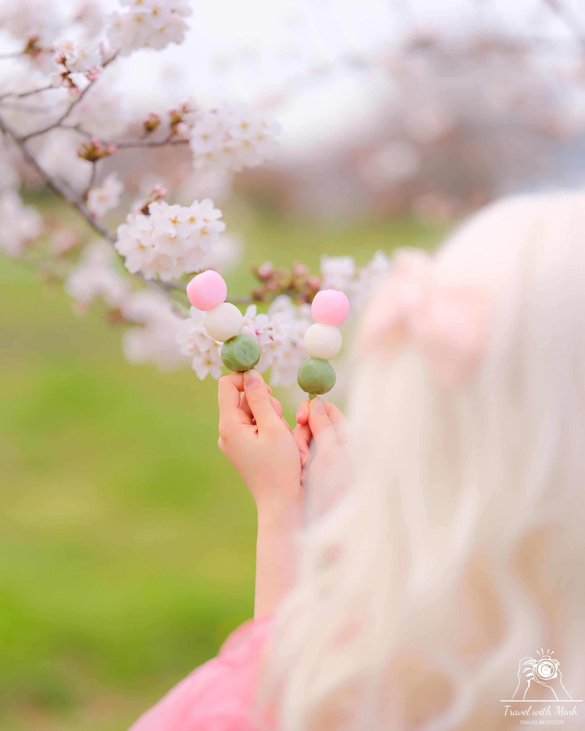 Fujiwara ruins castle nara sakuradscf5463