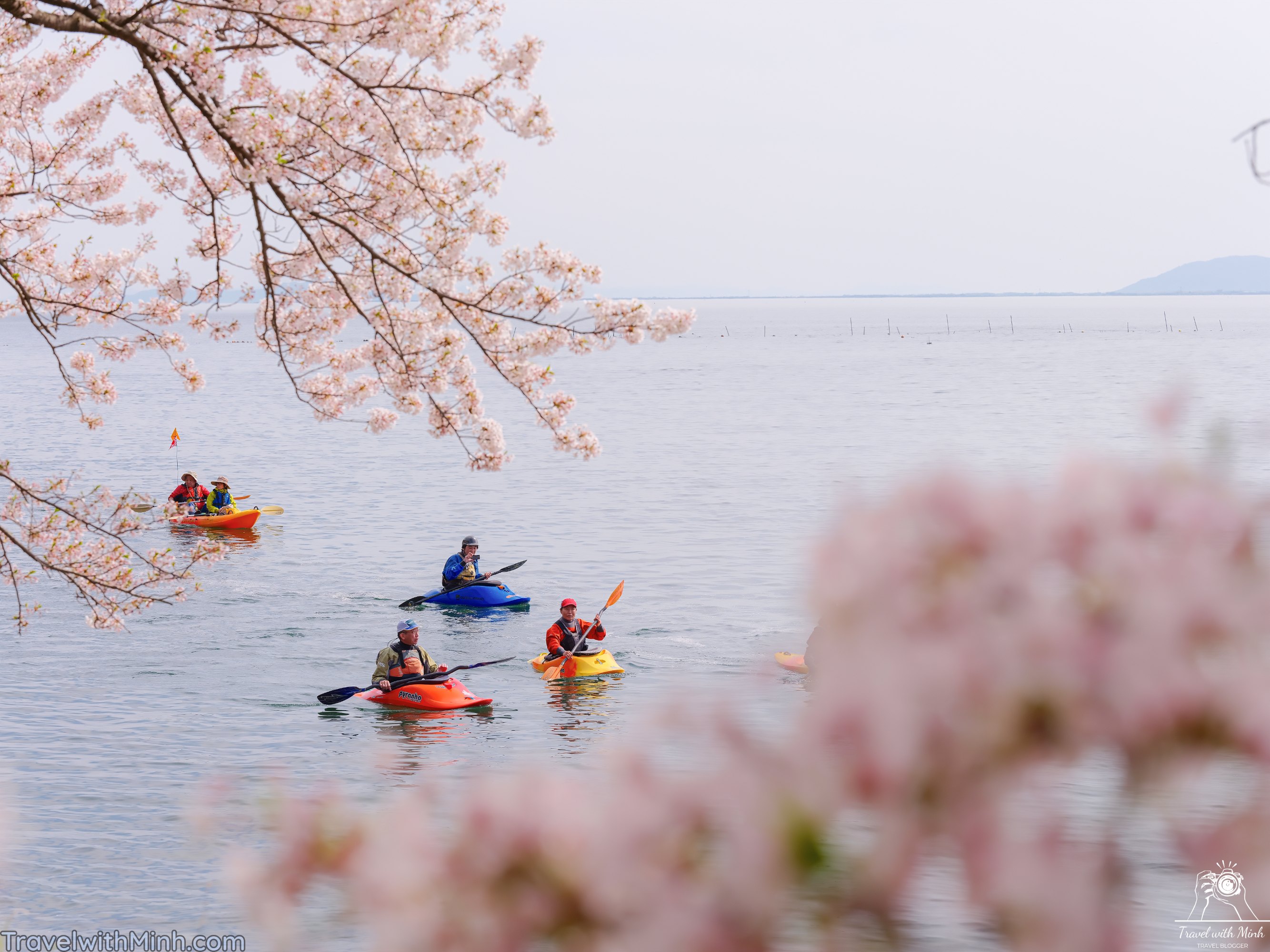 Sakura at makino shigadscf7713