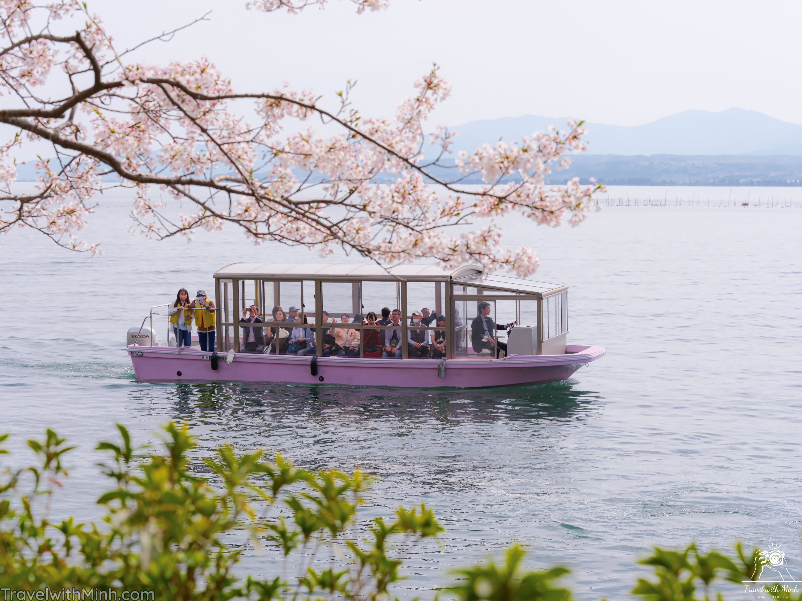 Tàu ngắm hoa anh đào ở Kaidzu-Osaki