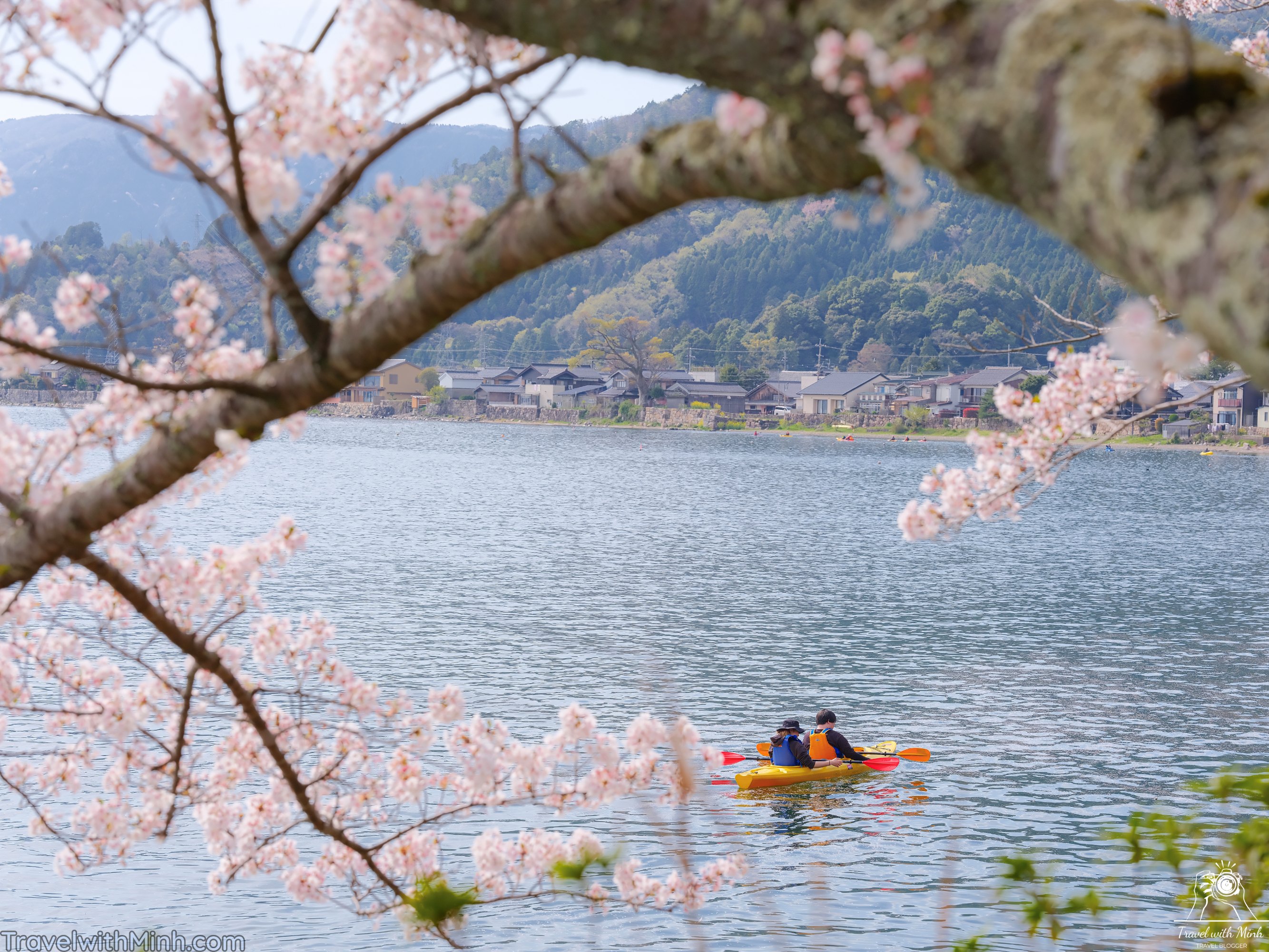 Sakura at makino shigadscf7728